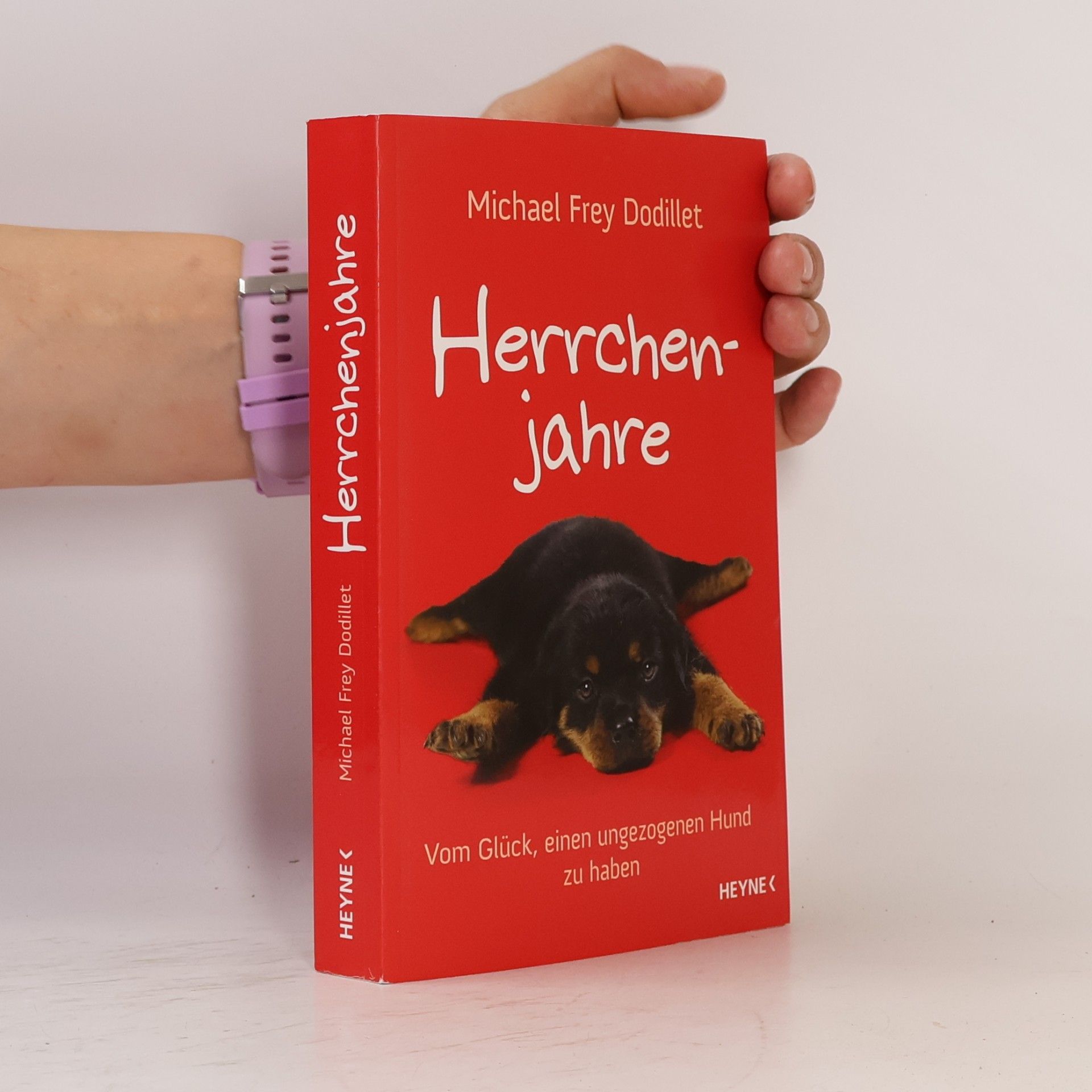 Michael Frey Dodillet Herrchenjahre