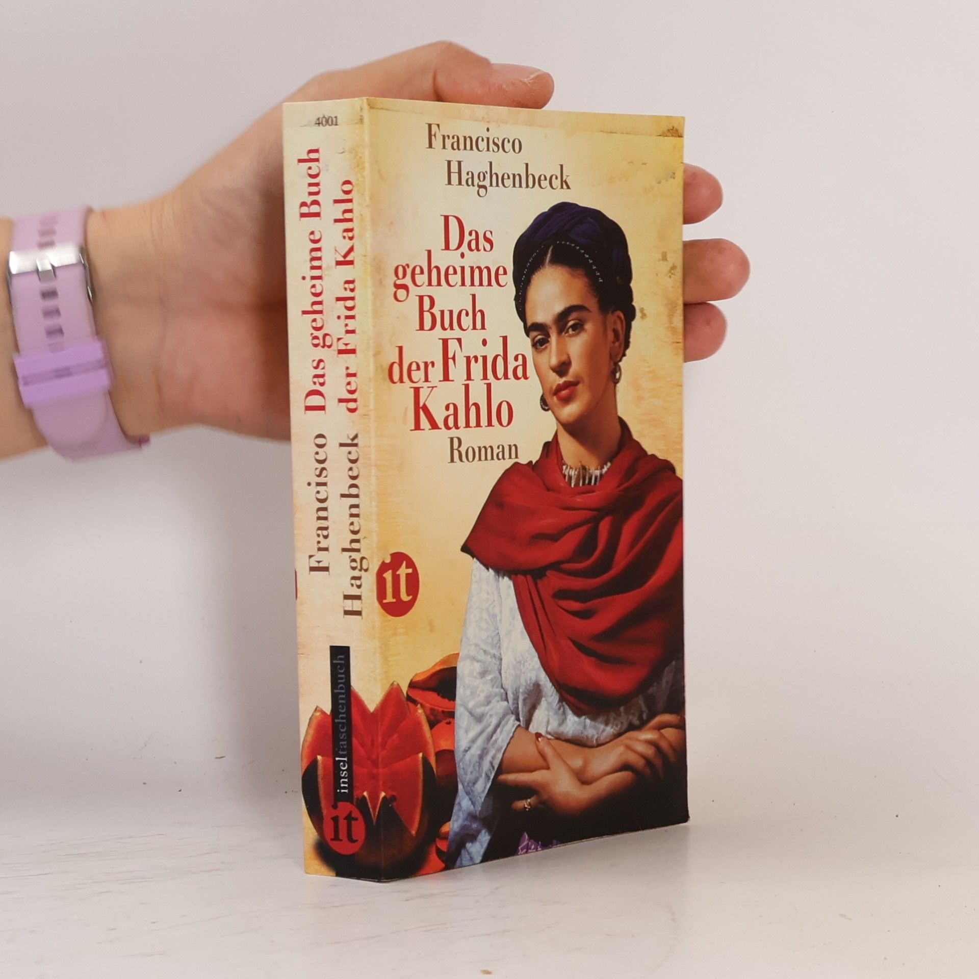 Francisco Haghenbeck Das geheime Buch der Frida Kahlo