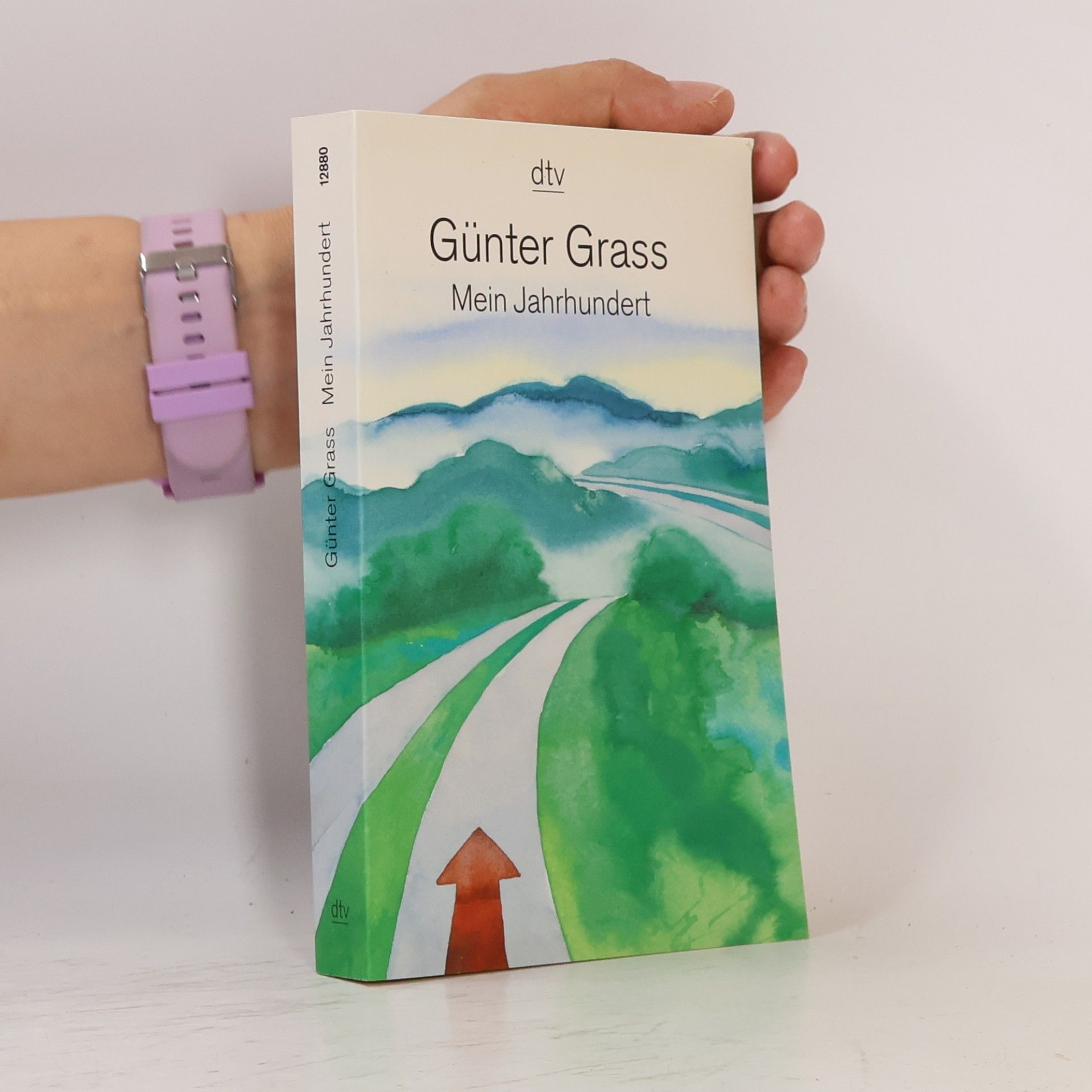 Günter Grass Mein Jahrhundert
