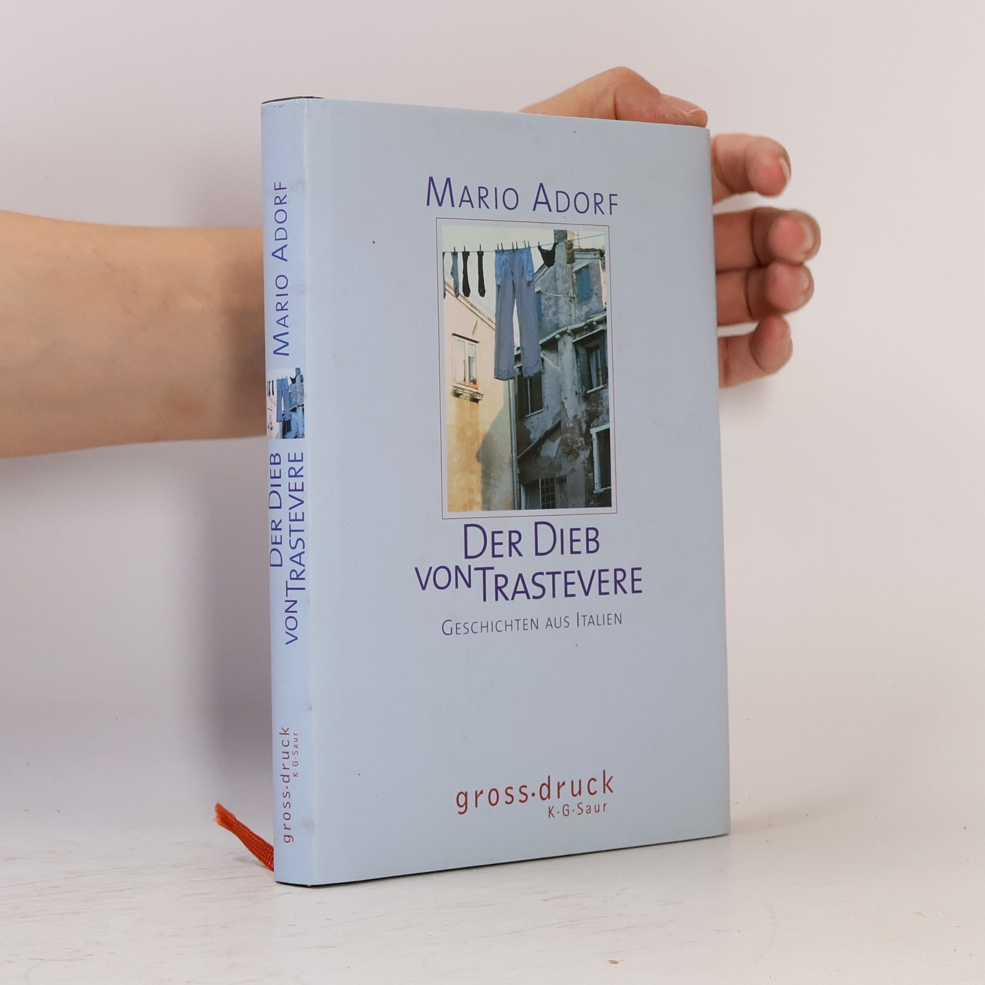 Der Dieb von Trastevere