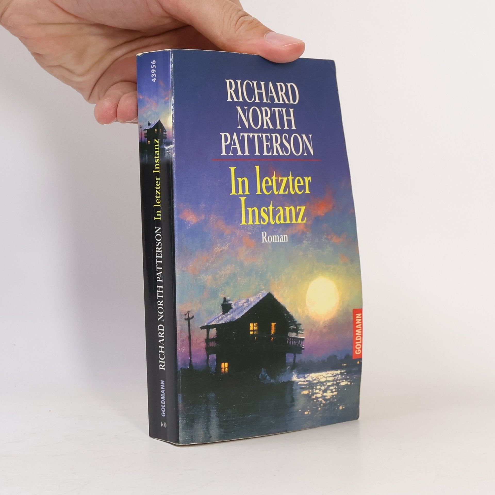Richard North Patterson In letzter Instanz