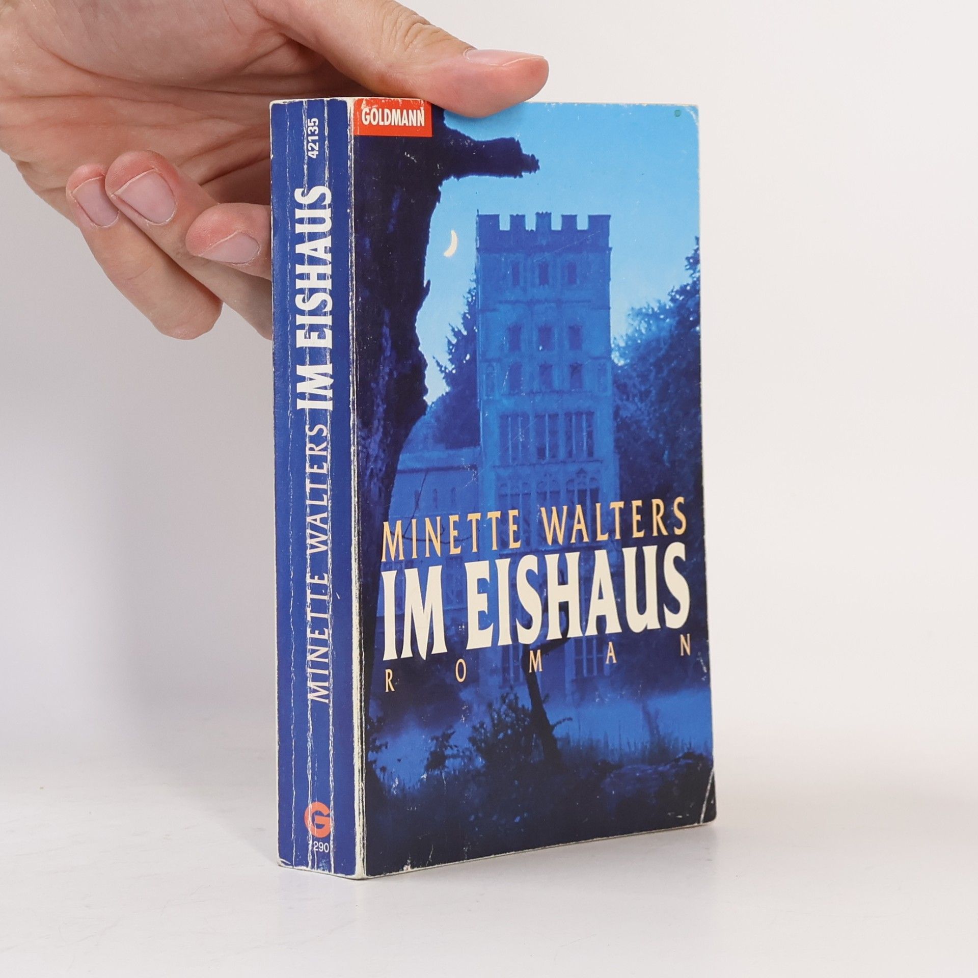Minette Walter Im Eishaus