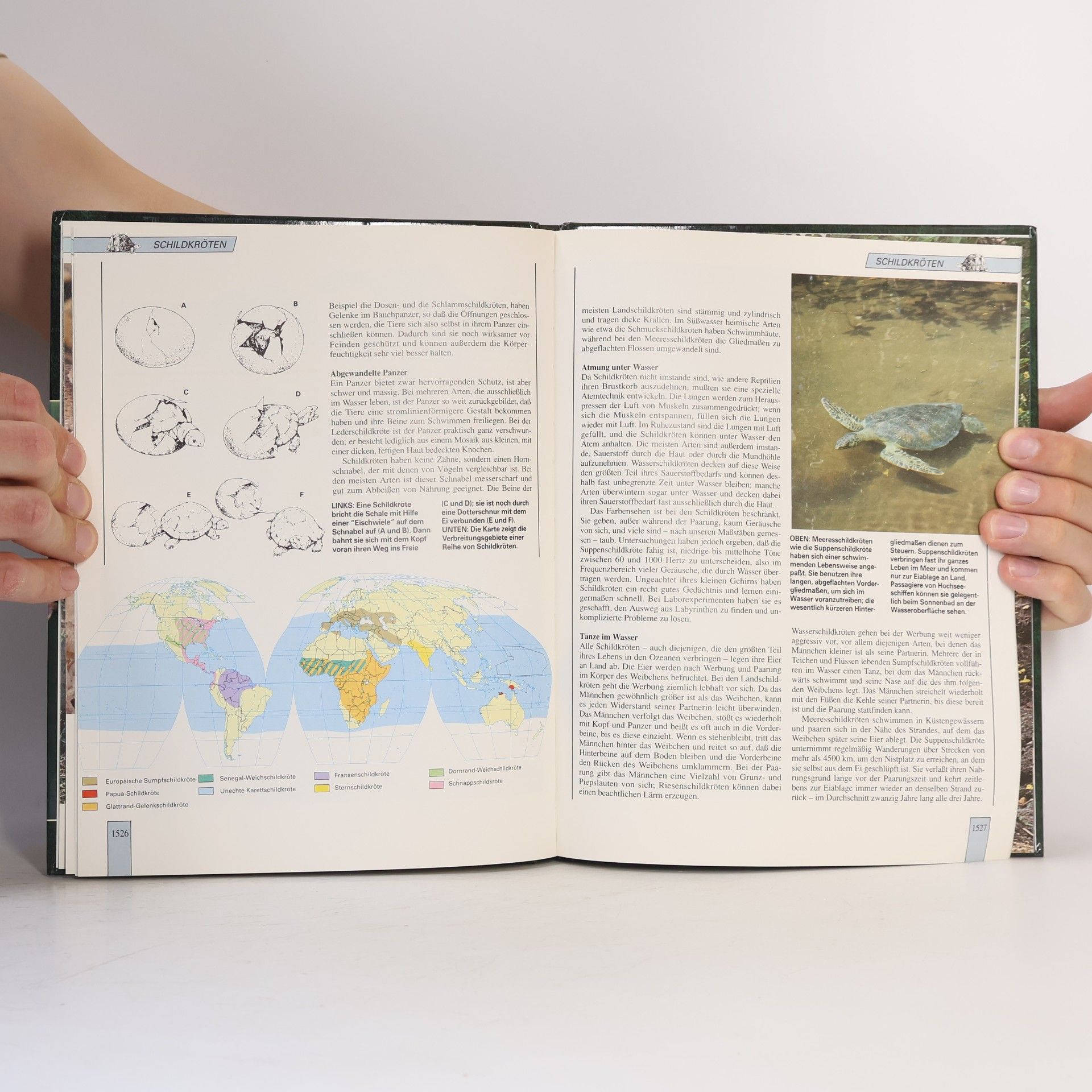 Autorenkollektiv Lebendiges Tierreich 26
