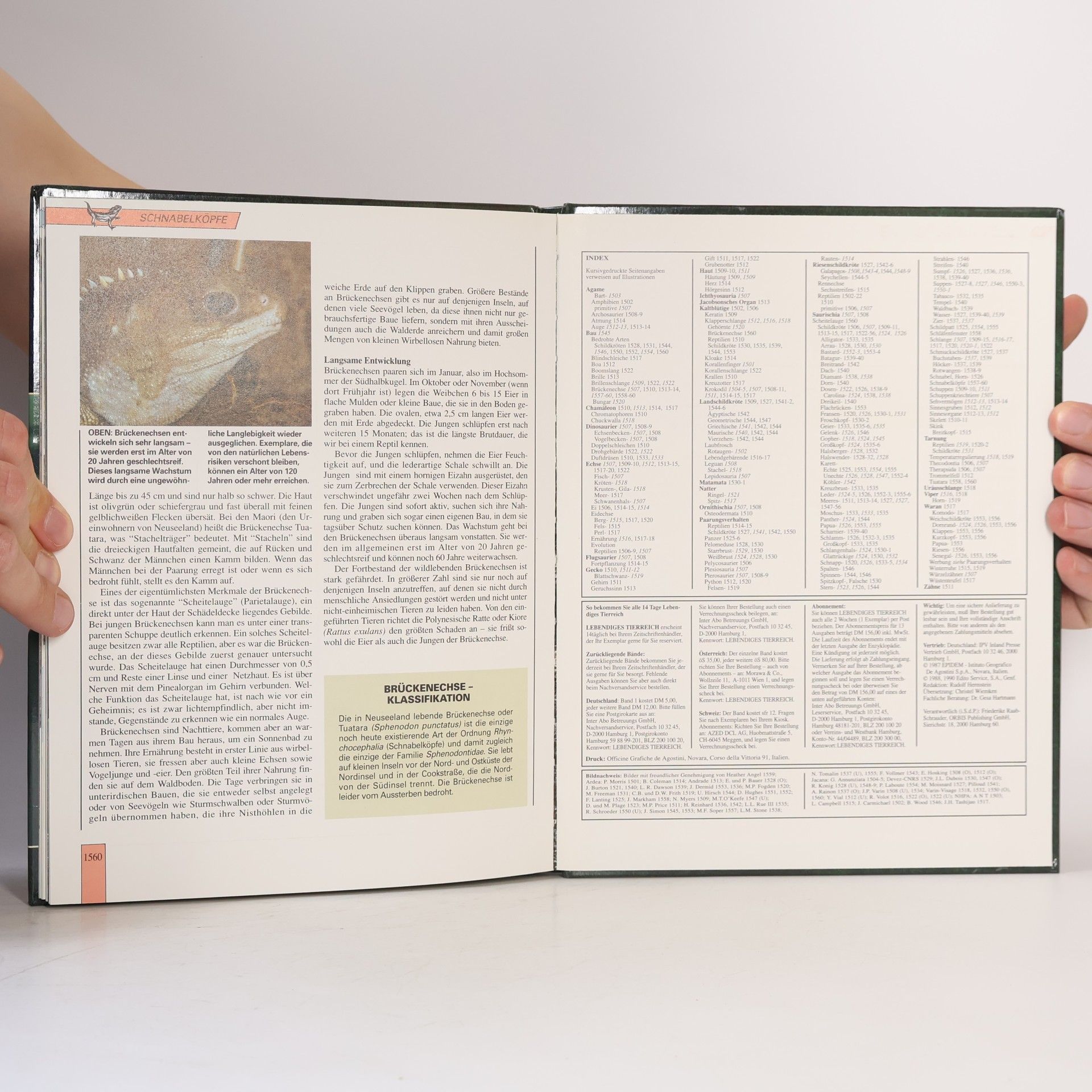 Autorenkollektiv Lebendiges Tierreich 26