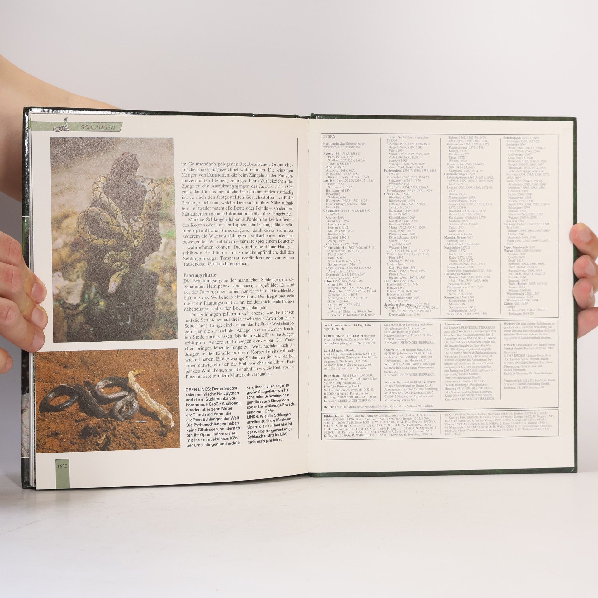 Kolektiv autorů Lebendiges Tierreich 27