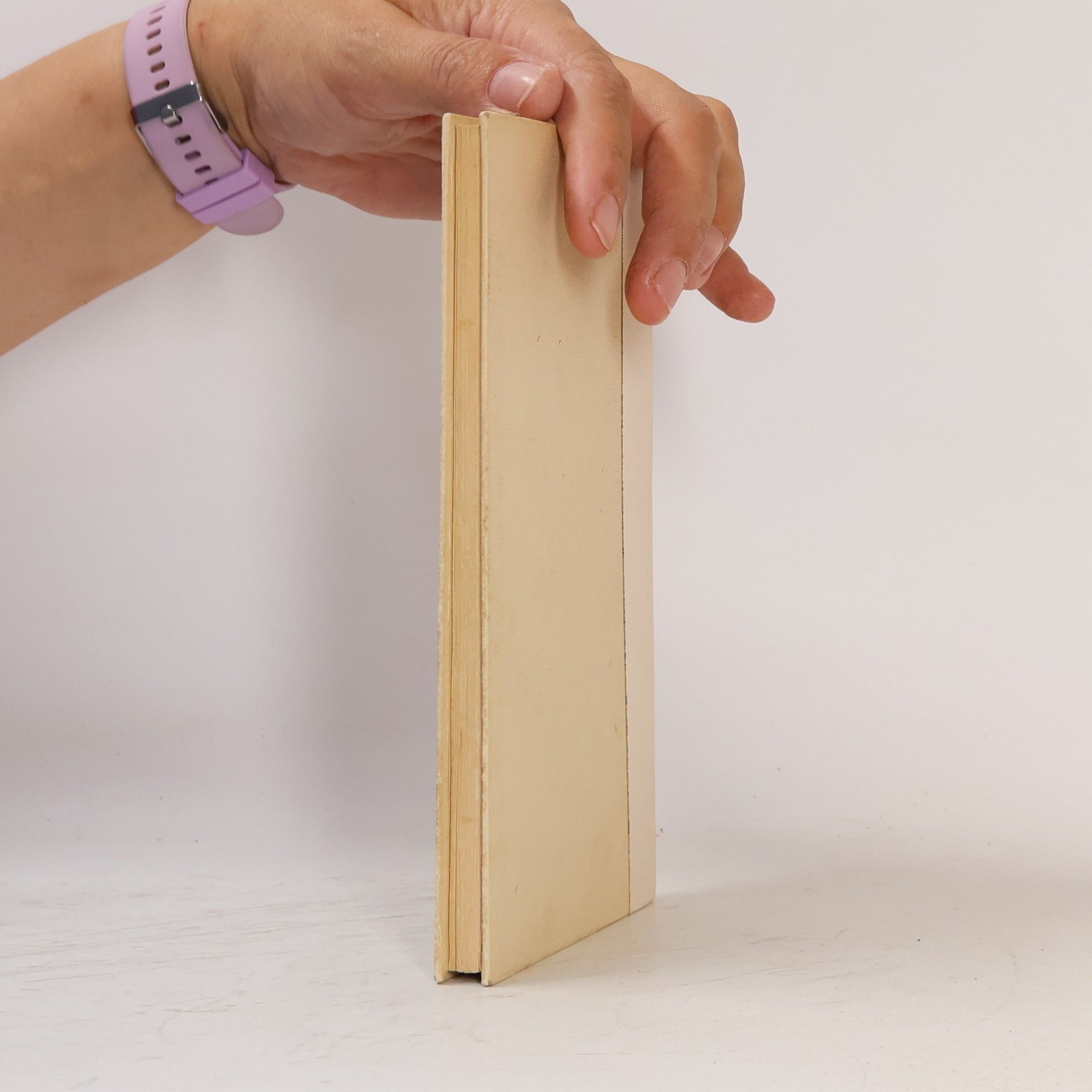 Autorenkollektiv Liederliches und Lyrisches