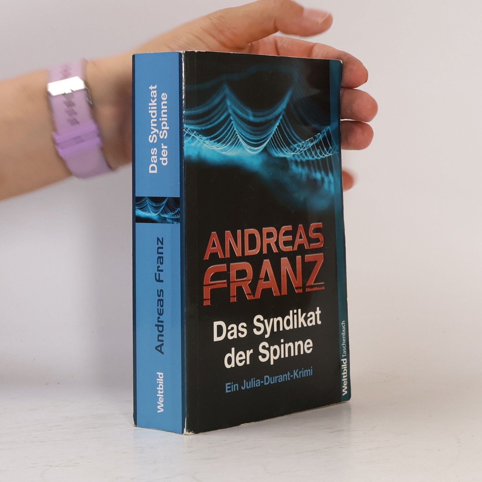 Das Syndikat der Spinne
