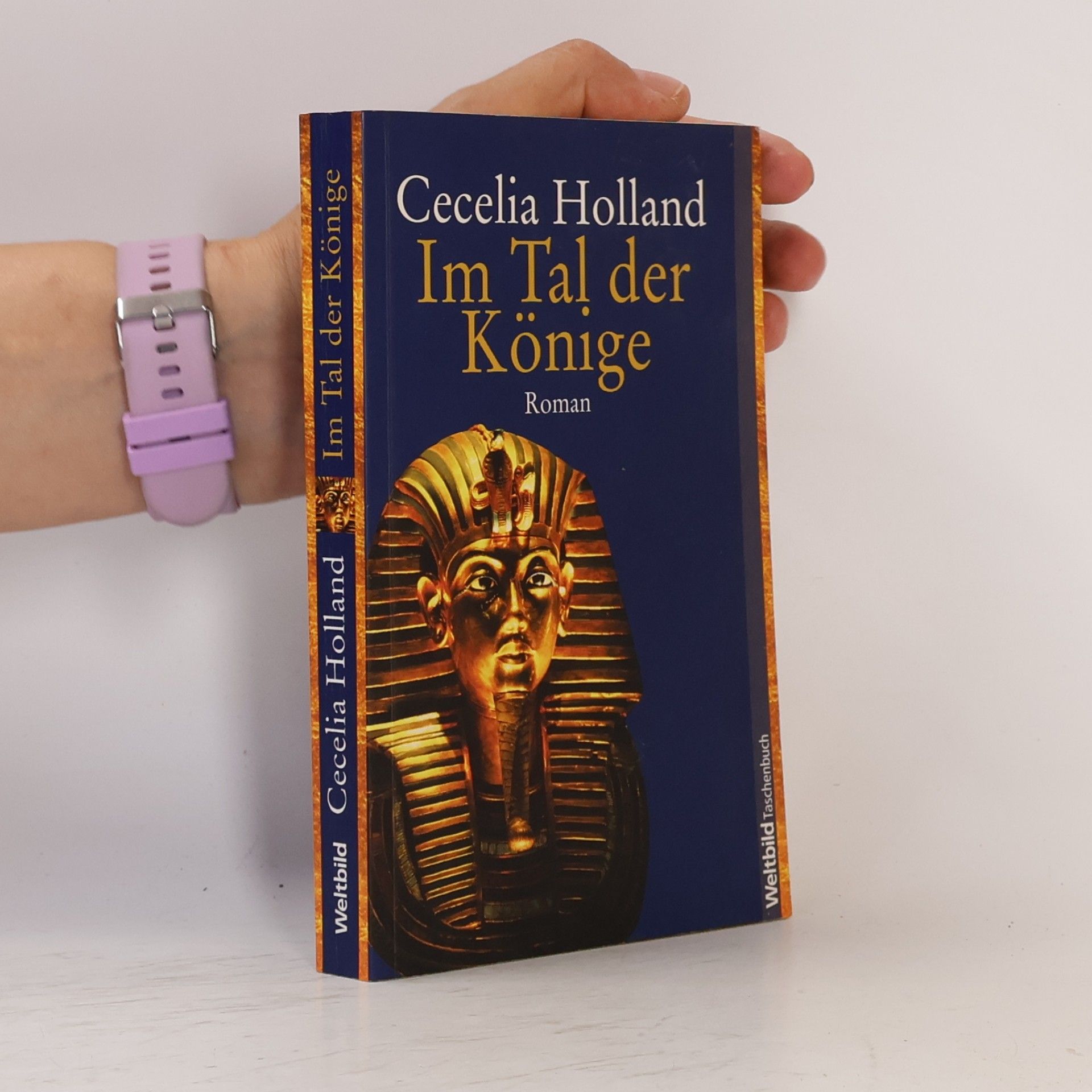 Cecelia Holland Im Tal der Könige