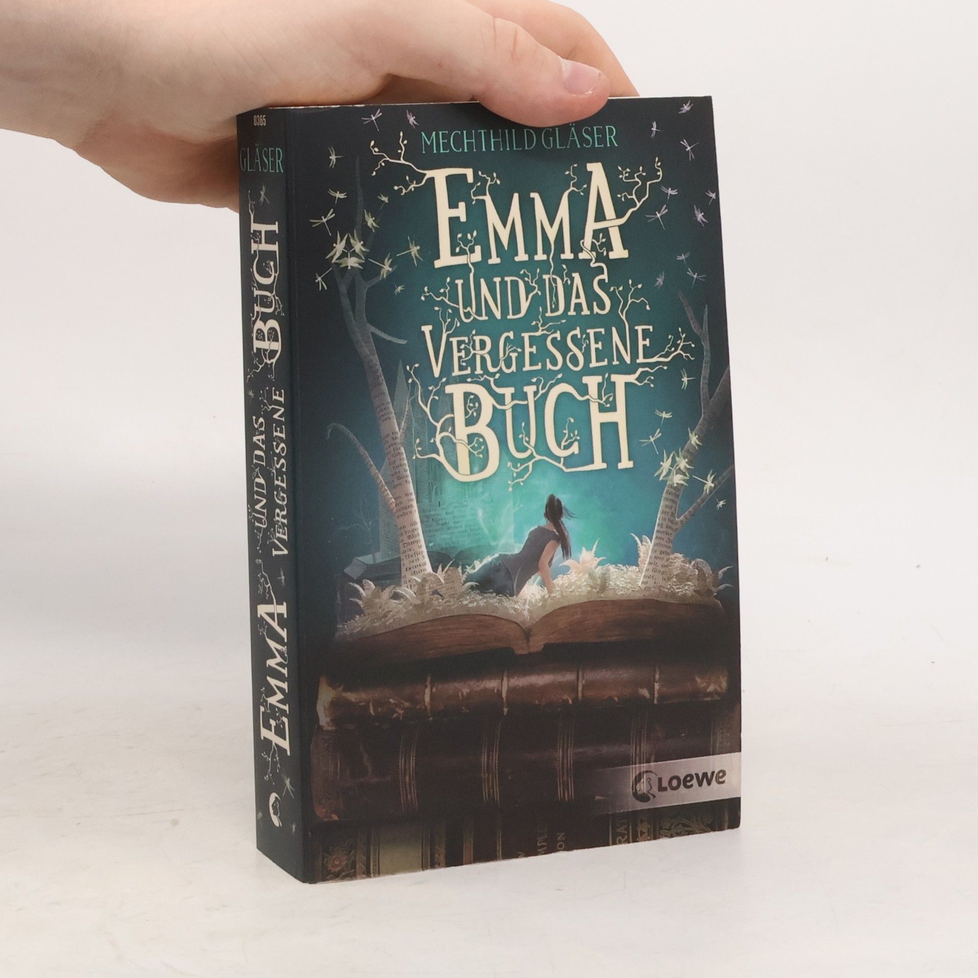 Mechthild Gläser Emma und das vergessene Buch
