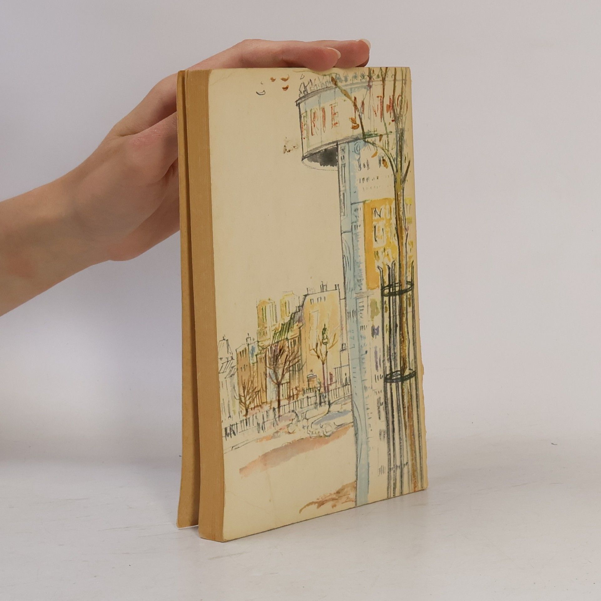 Elaine Dundy Eine Amerikanerin in Paris
