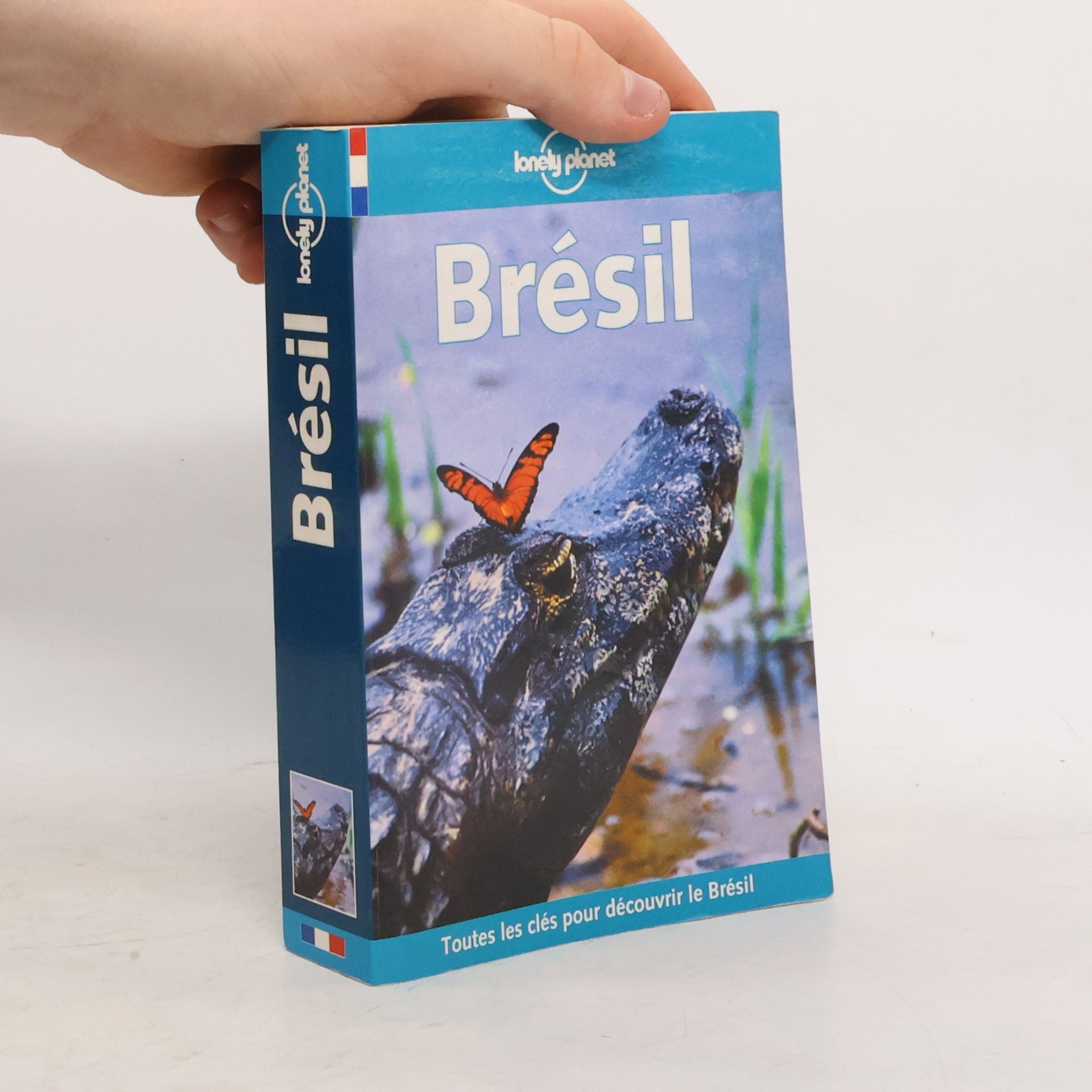 Lonely Planet Brasil/Bresil