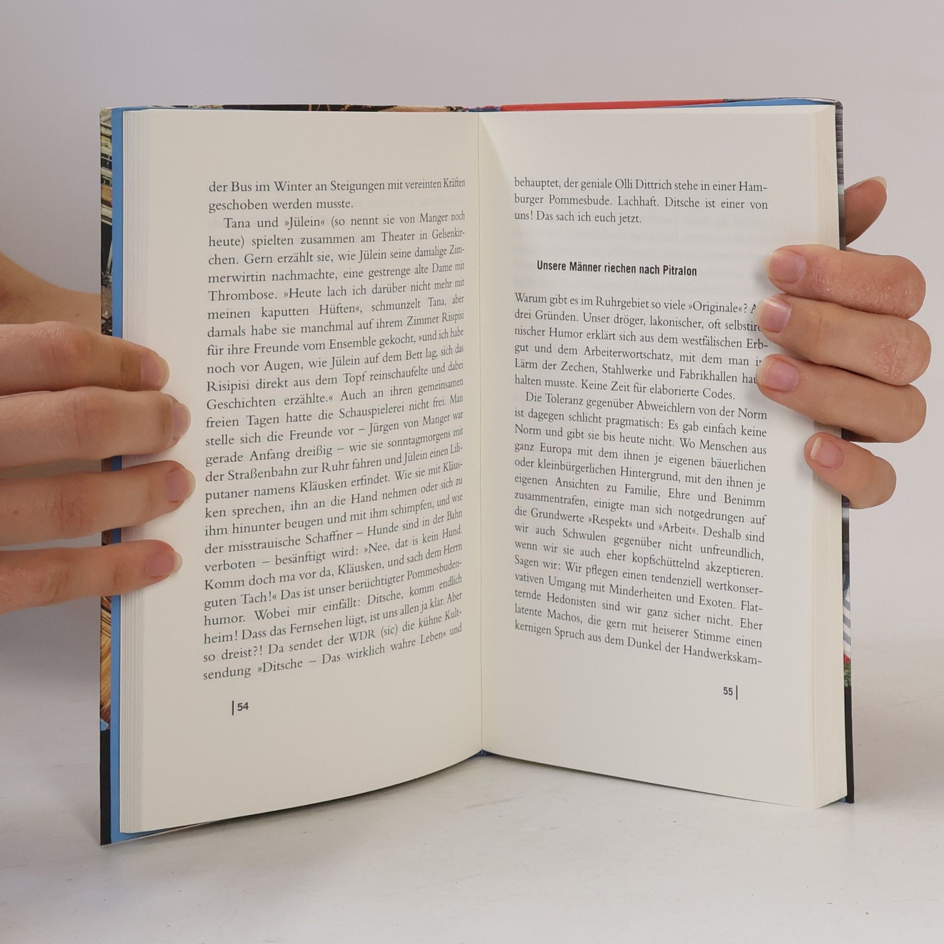 Peter Erik Hillenbach Gebrauchsanweisung für das Ruhrgebiet