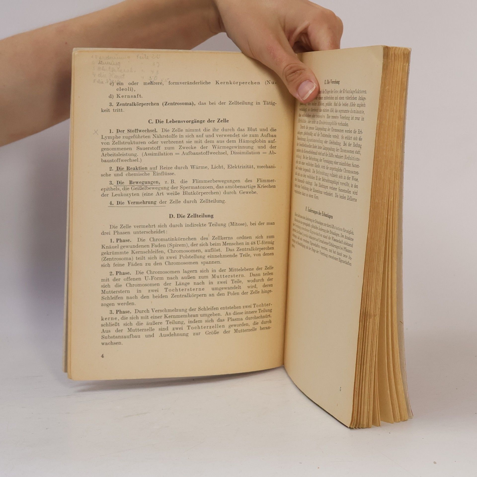 Ludwig Renneberg Gesundheits Lehre