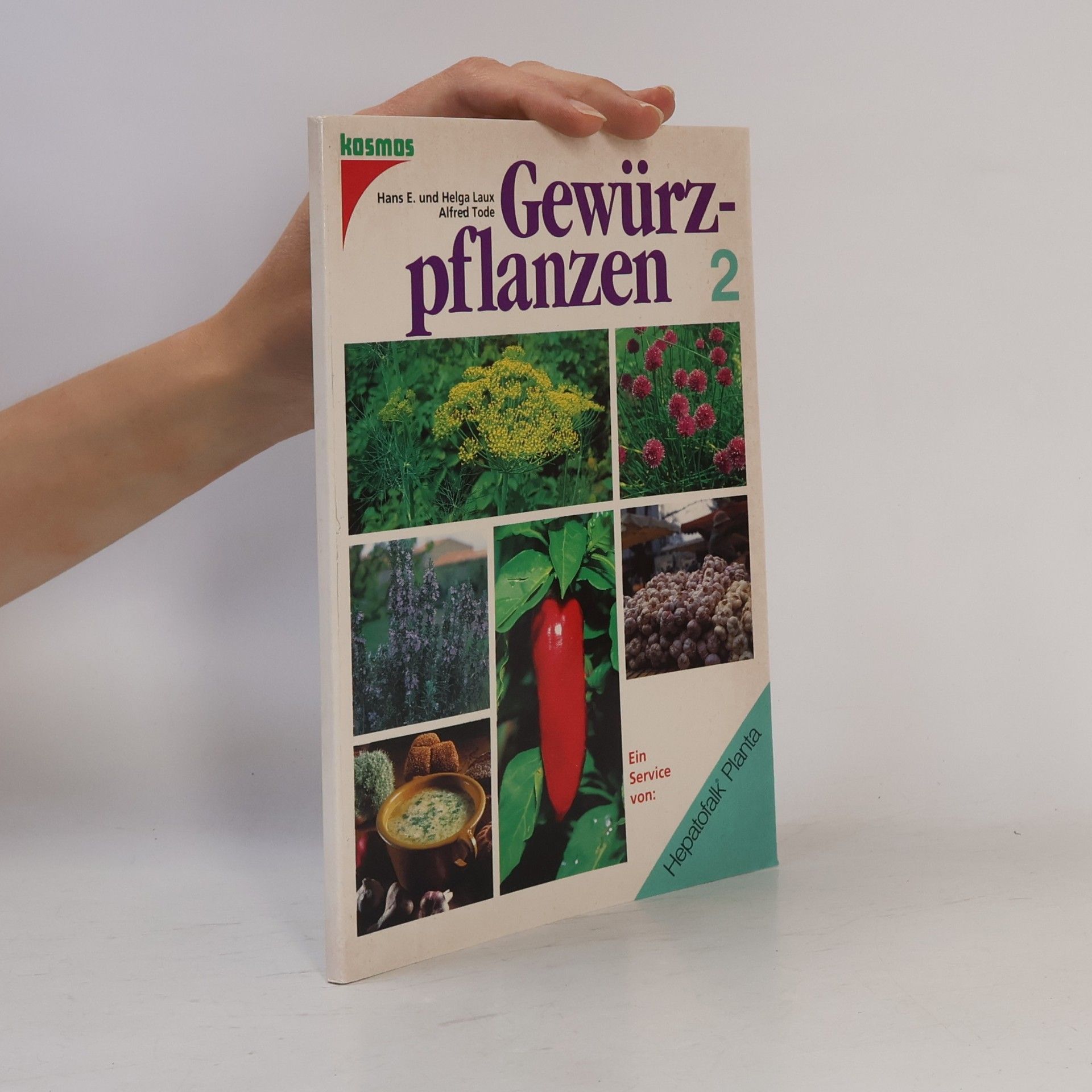 Gewürzpflanzen