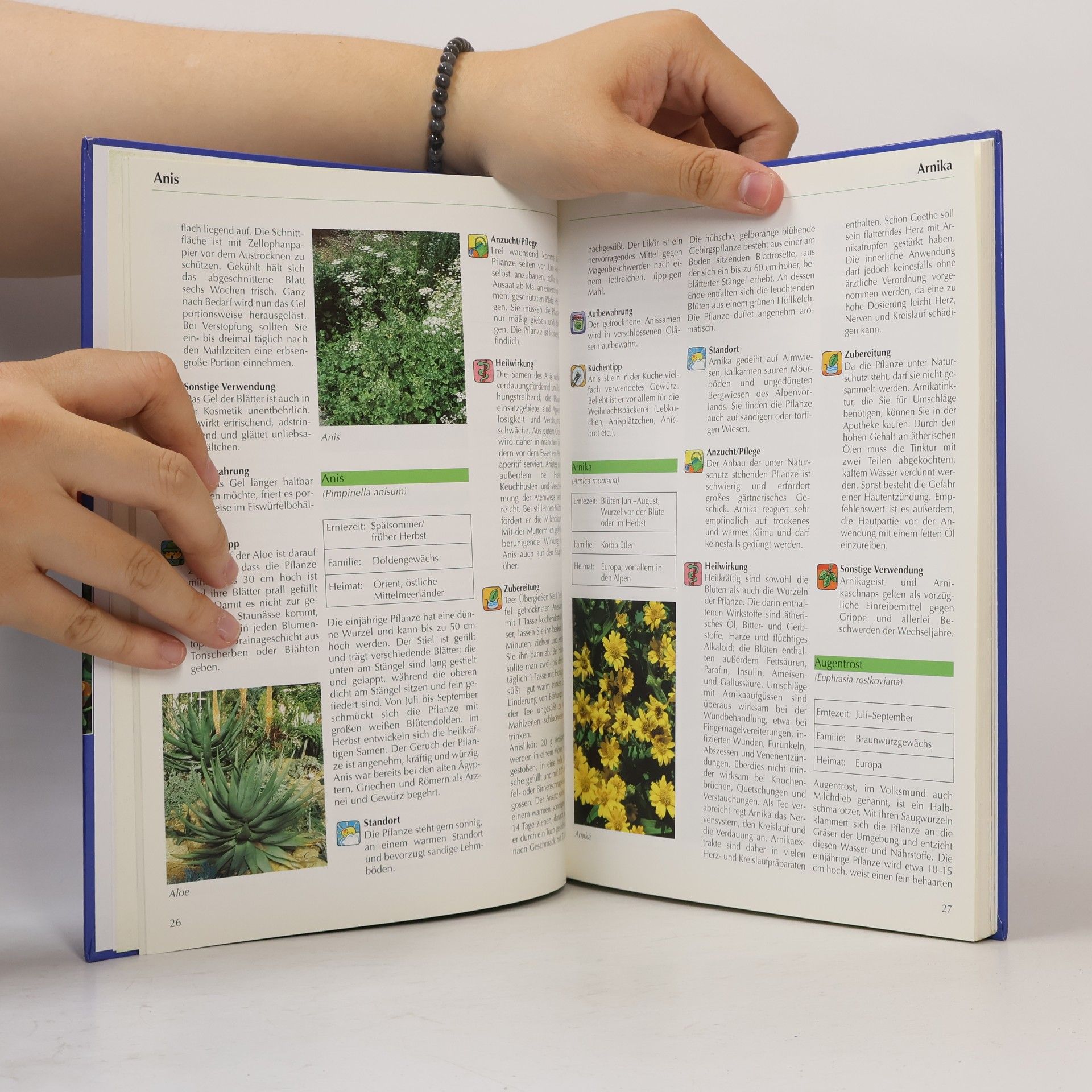 Gabrielle Vocke Das große Buch der Heilpflanzen