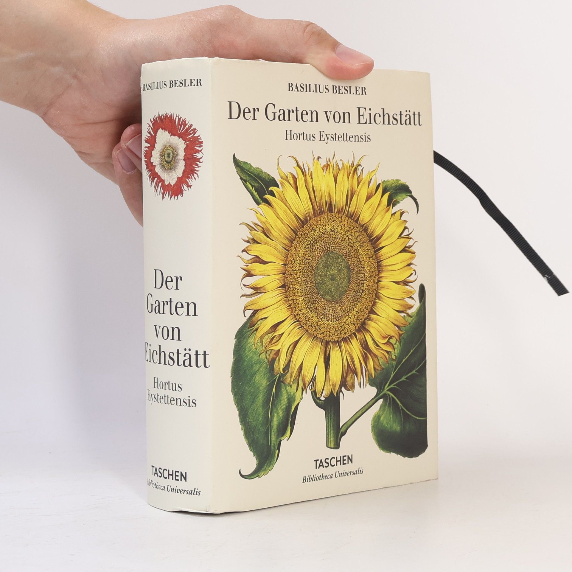 Der Garten von Eichstätt