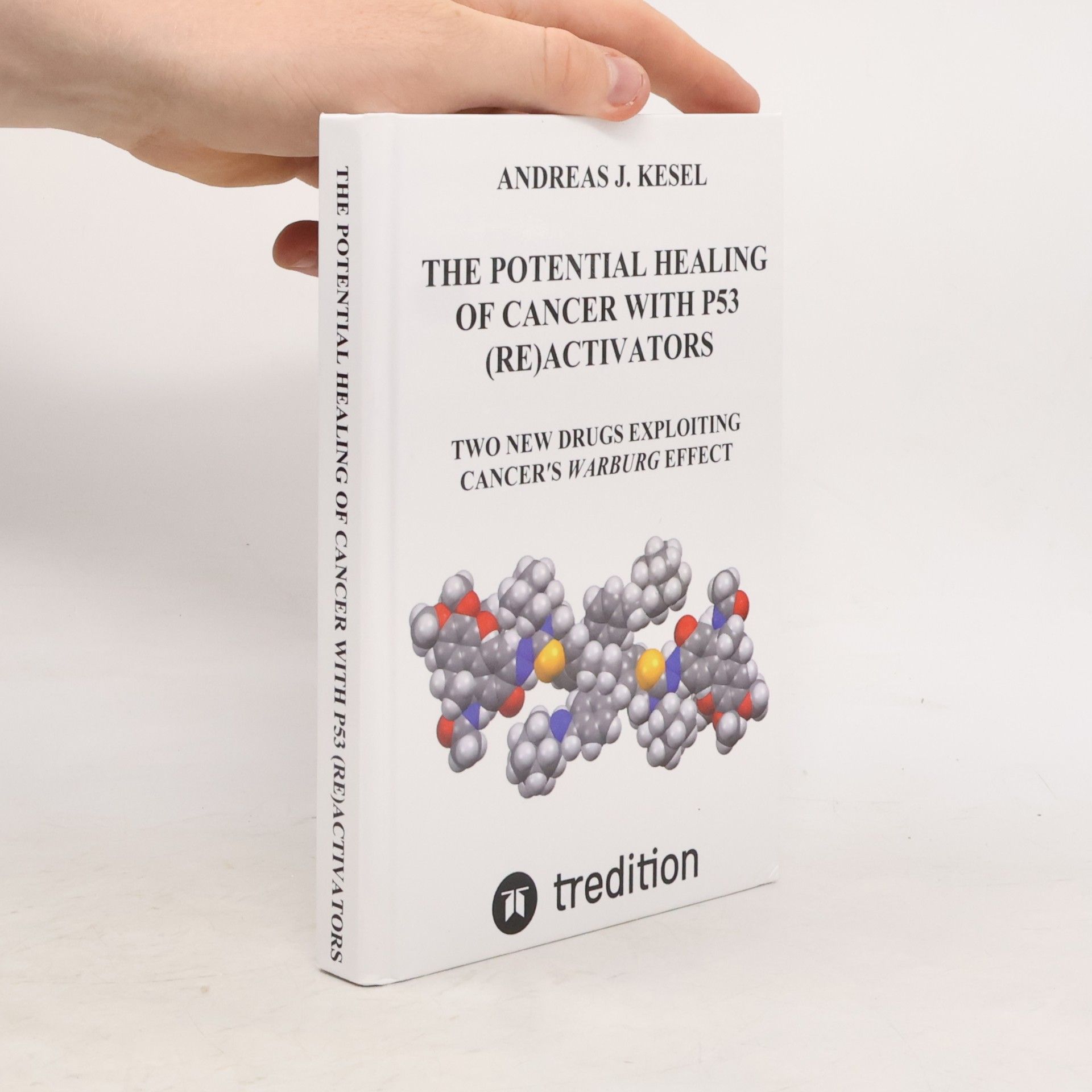 Andreas Johannes Kesel THE POTENTIAL HEALING OF CANCER WITH P53 (RE)ACTIVATORS