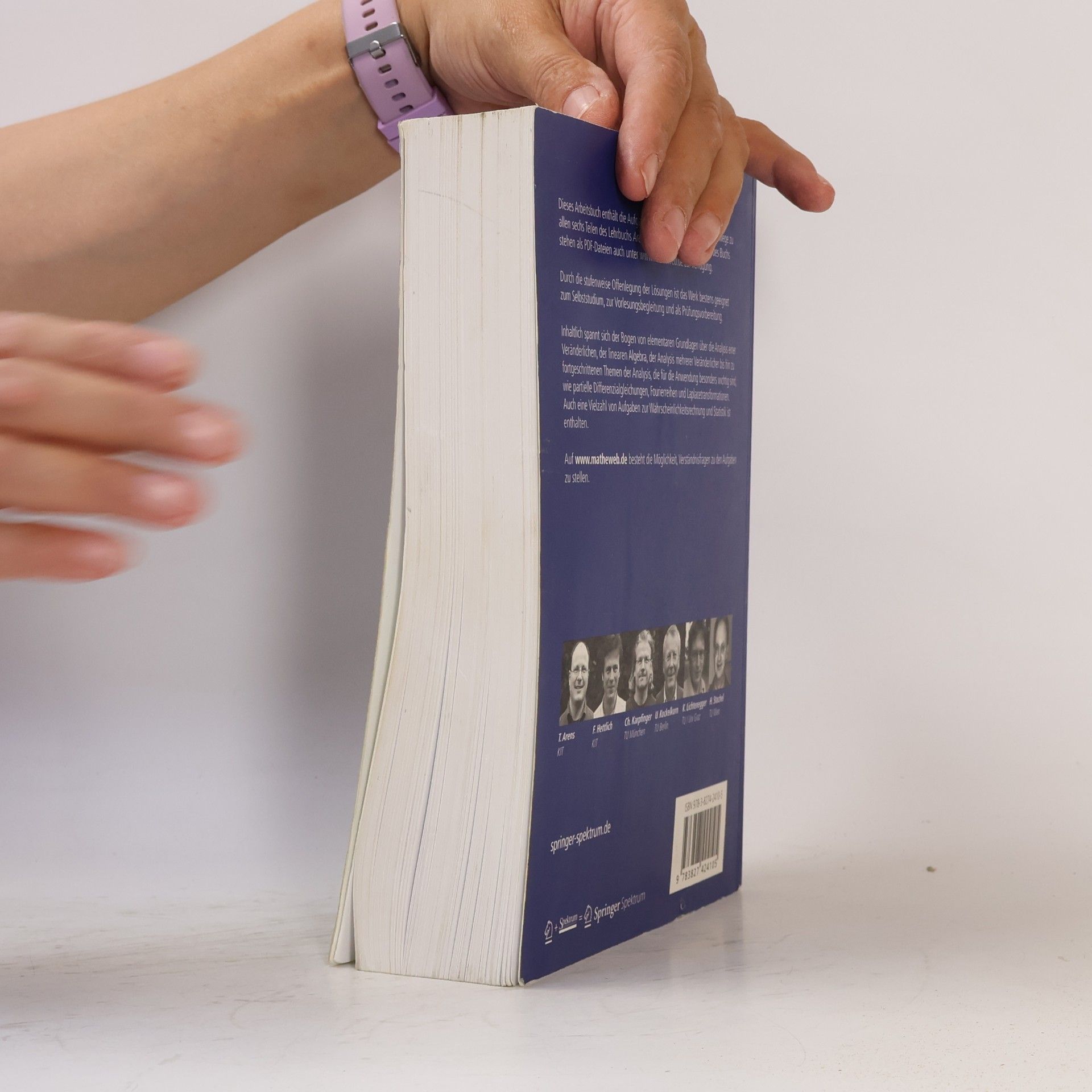 Tilo Arens Arbeitsbuch Mathematik