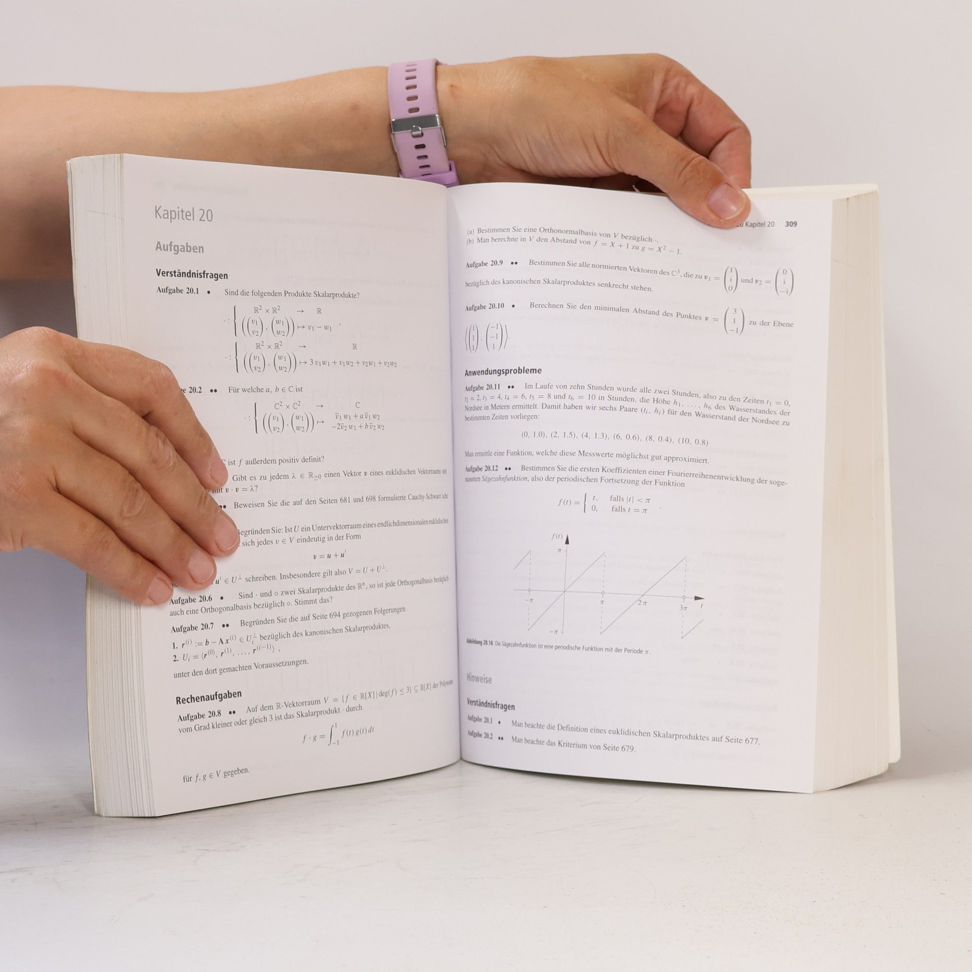 Tilo Arens Arbeitsbuch Mathematik
