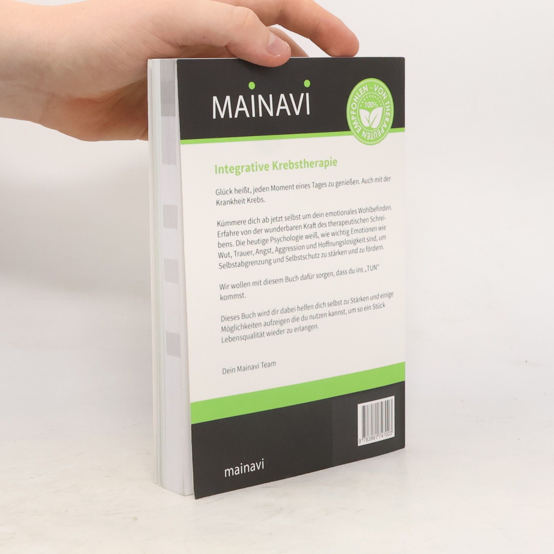 Mainavi Ltd. Mein Weg zur Genesung