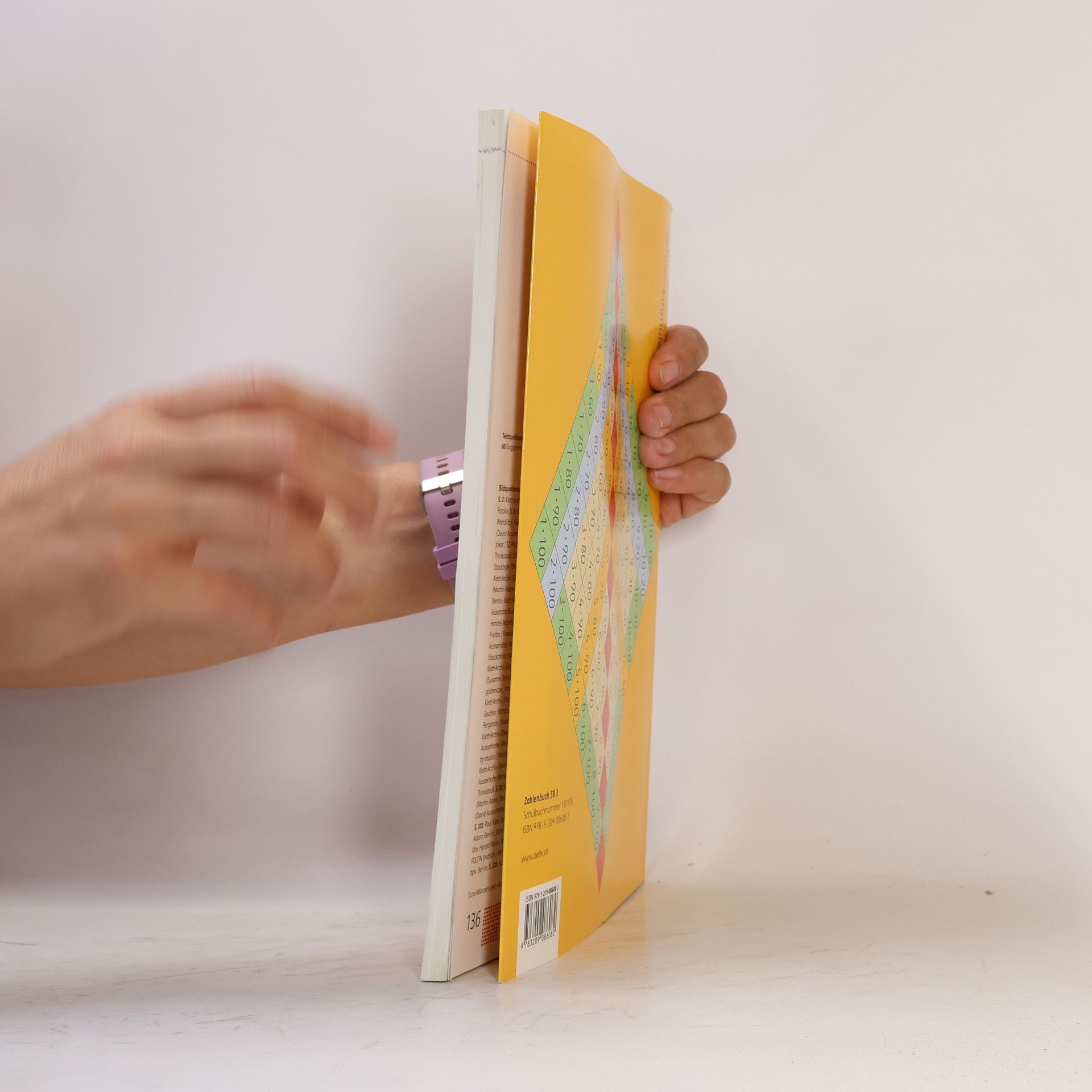 Erich Wittmann Das Zahlenbuch 3, Schülerbuch