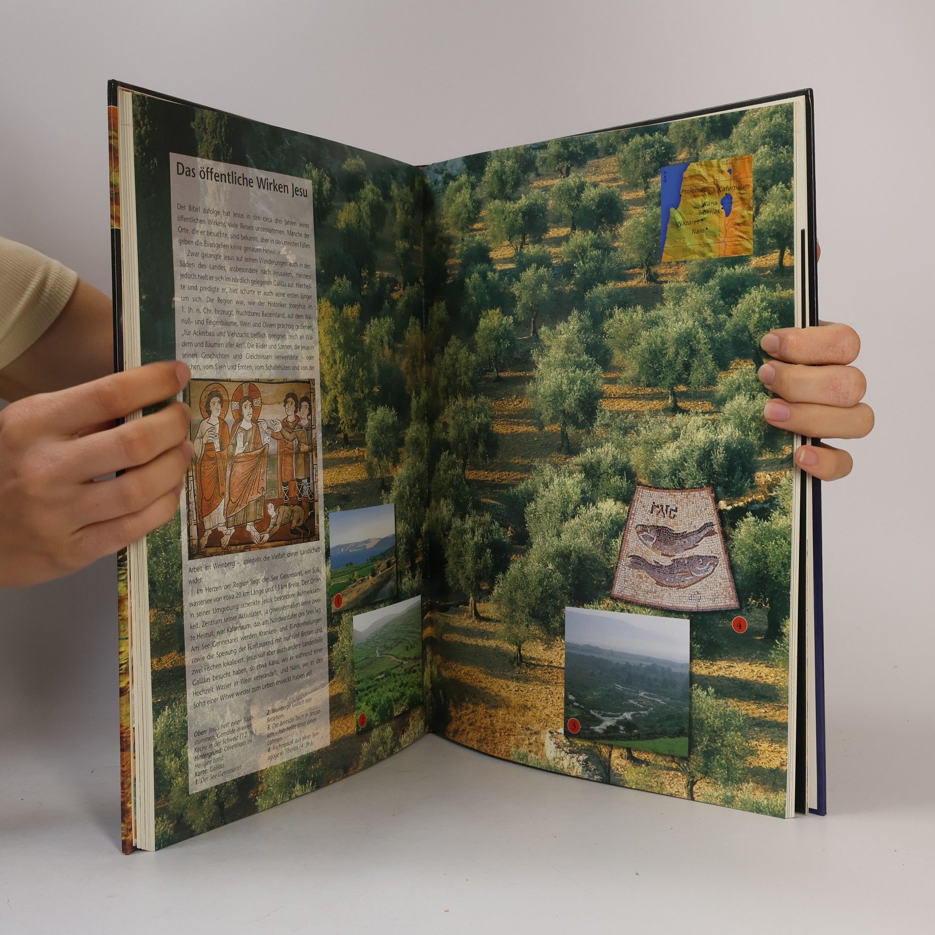 Marcus Braybrooke Der große Bibelatlas