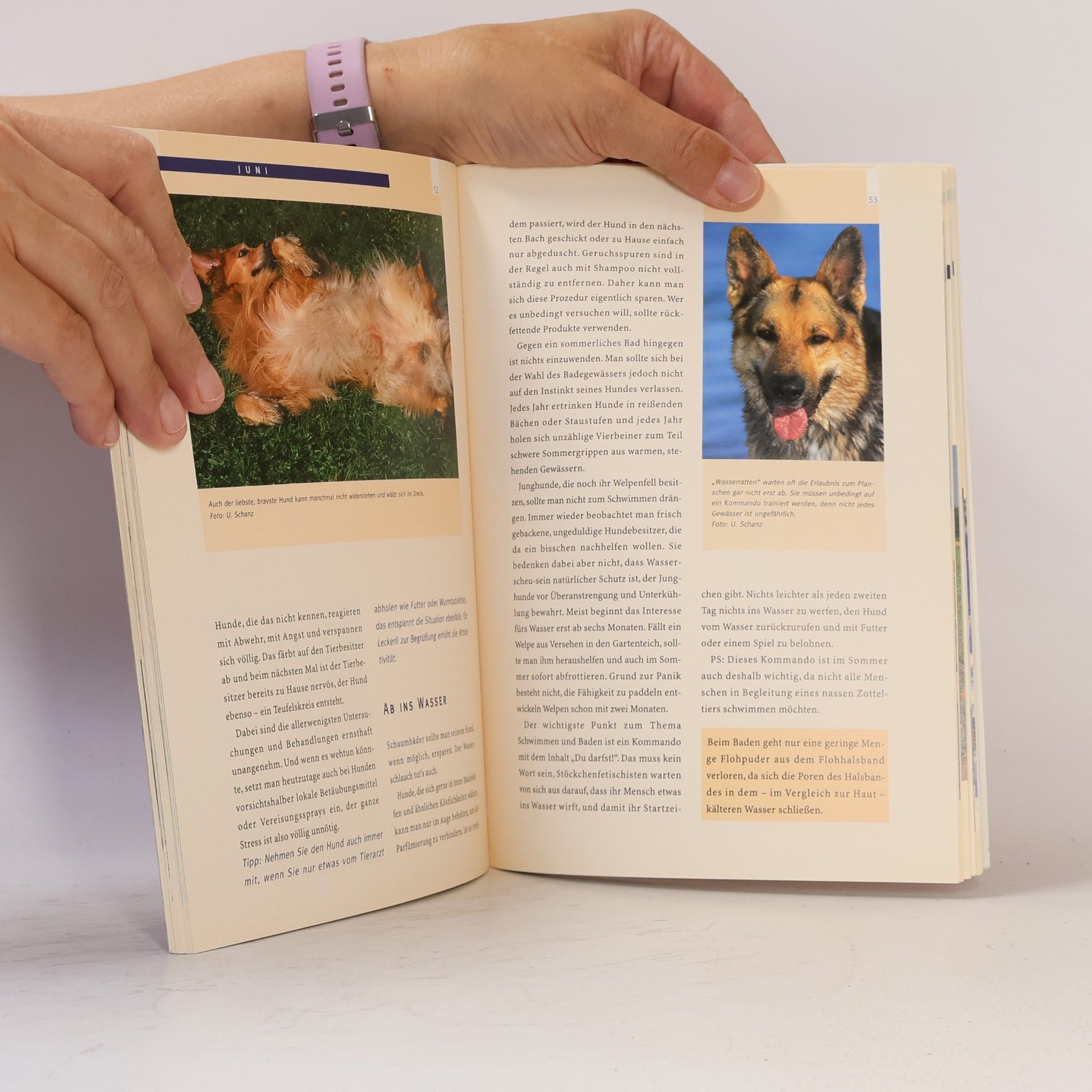 Hildegard Jung Mit dem Hund gesund durchs Jahr