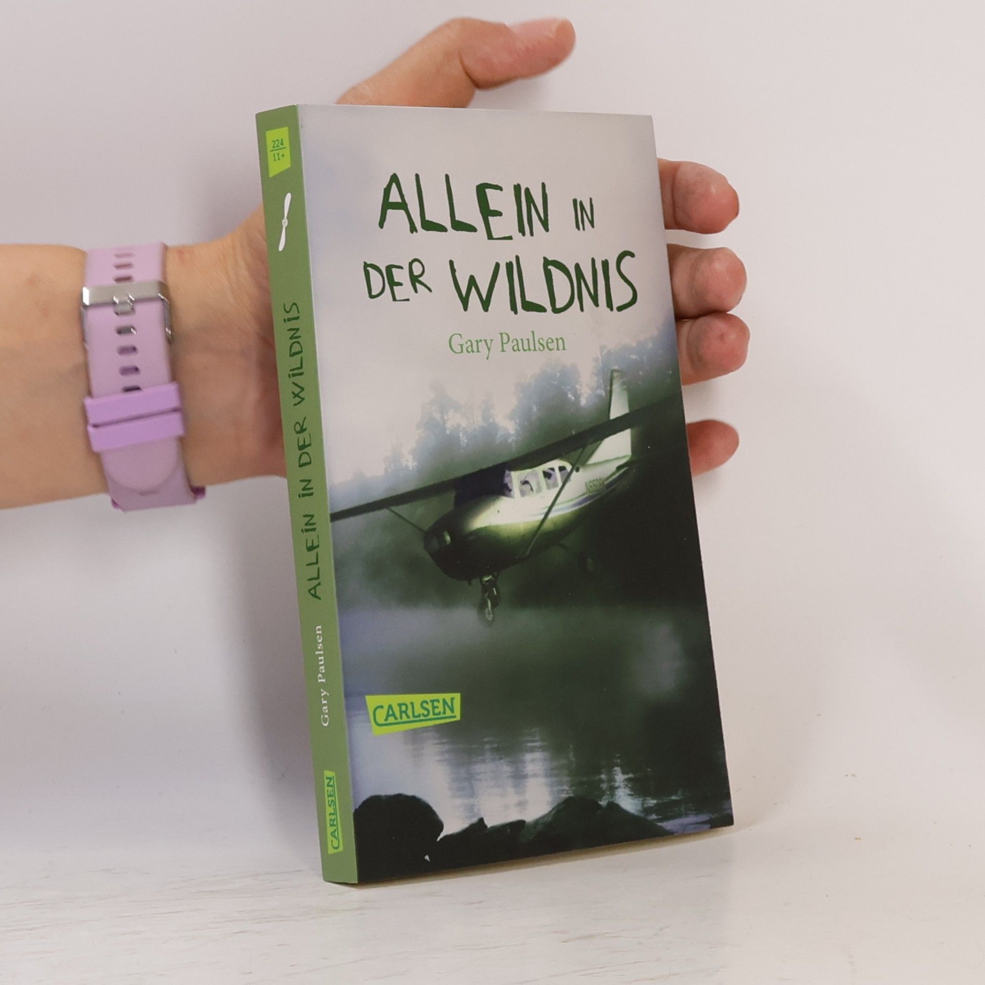 Gary Paulsen Allein in der Wildnis