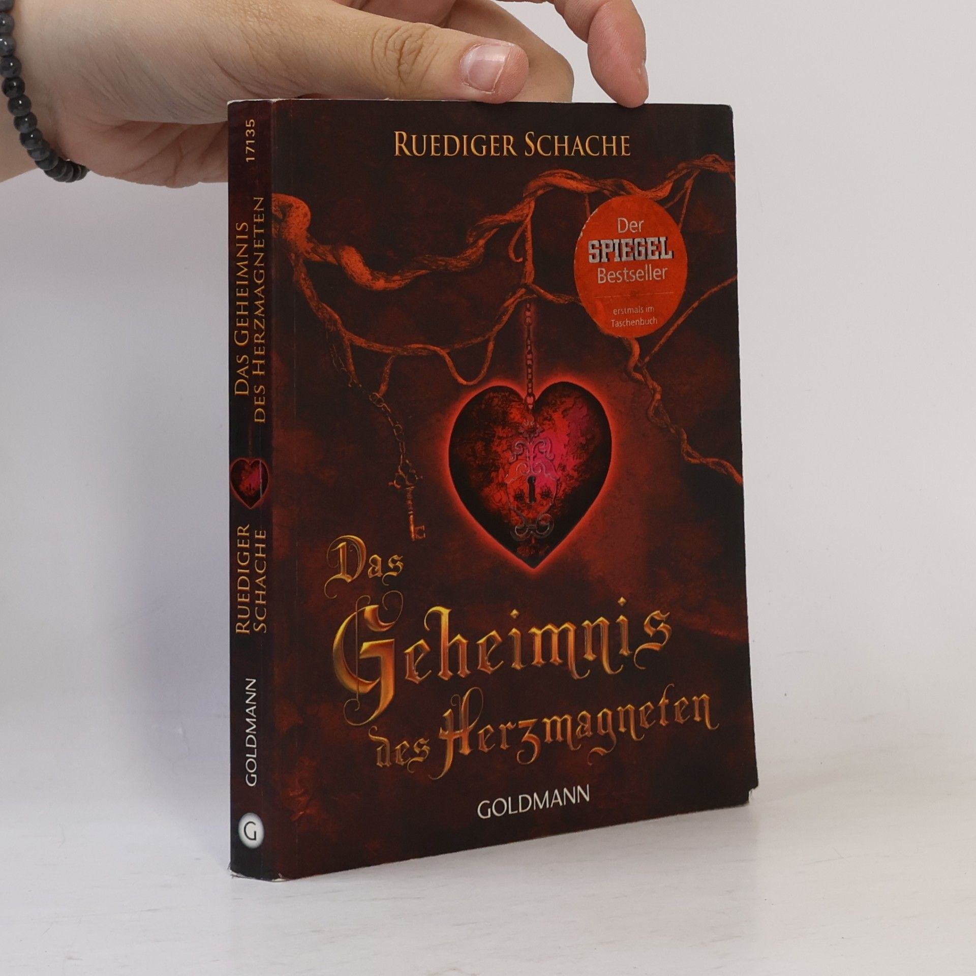 Ruediger Schache Das Geheimnis des Herzmagneten