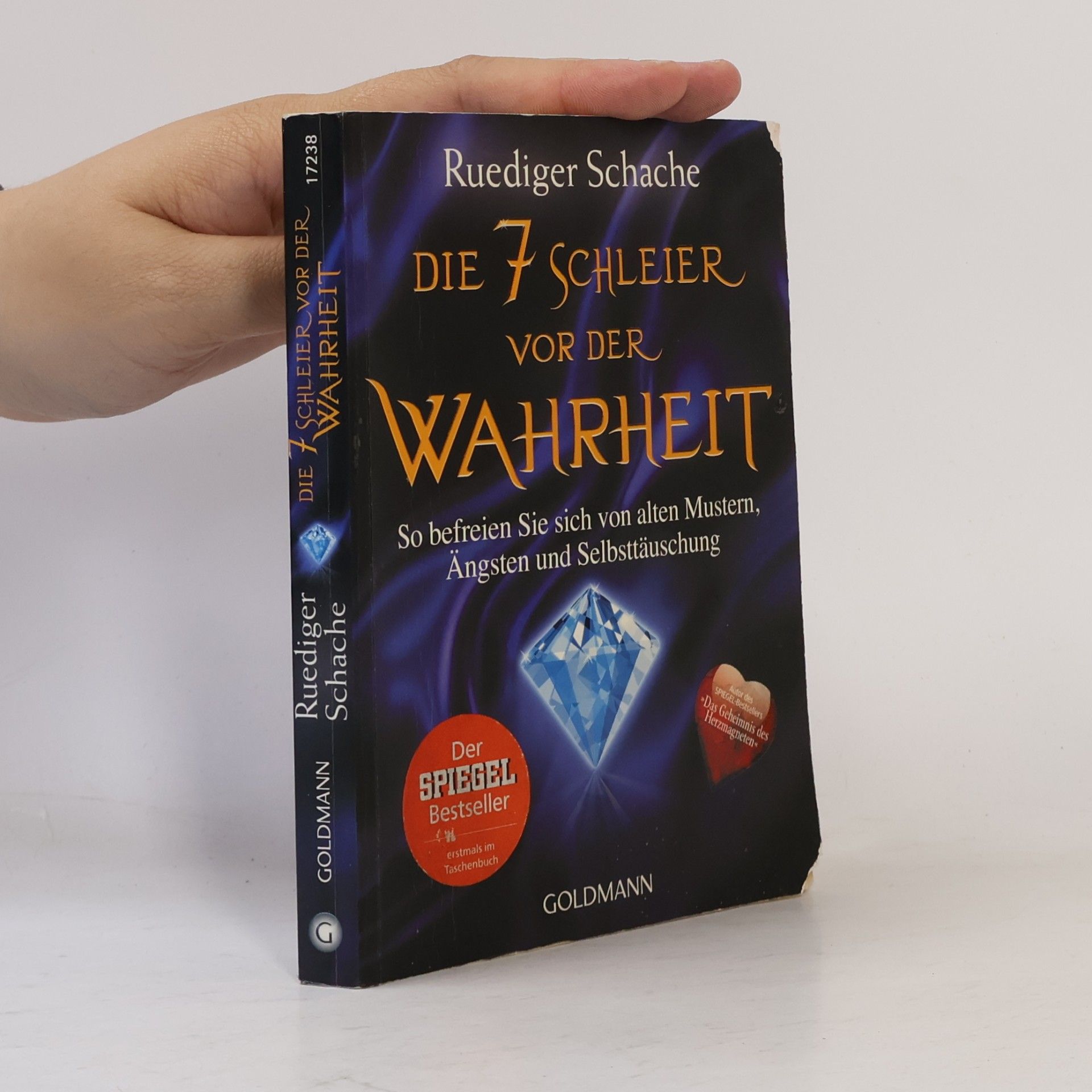 Ruediger Schache Die 7 Schleier vor der Wahrheit