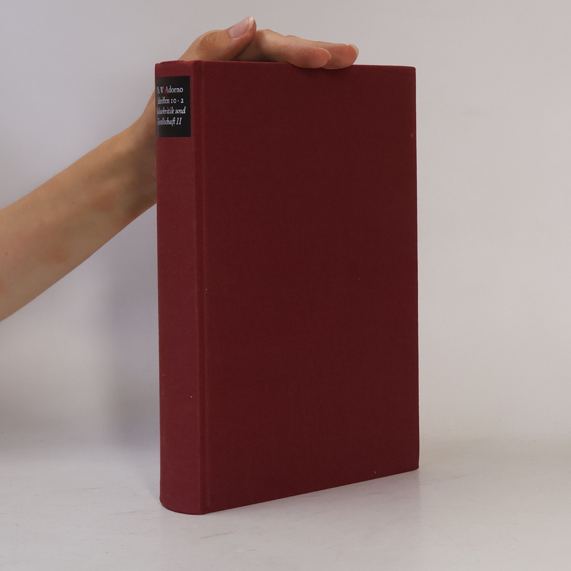 Theodor W. Adorno Schriften 10.2. Kulturkritik und Gesellschaft II.
