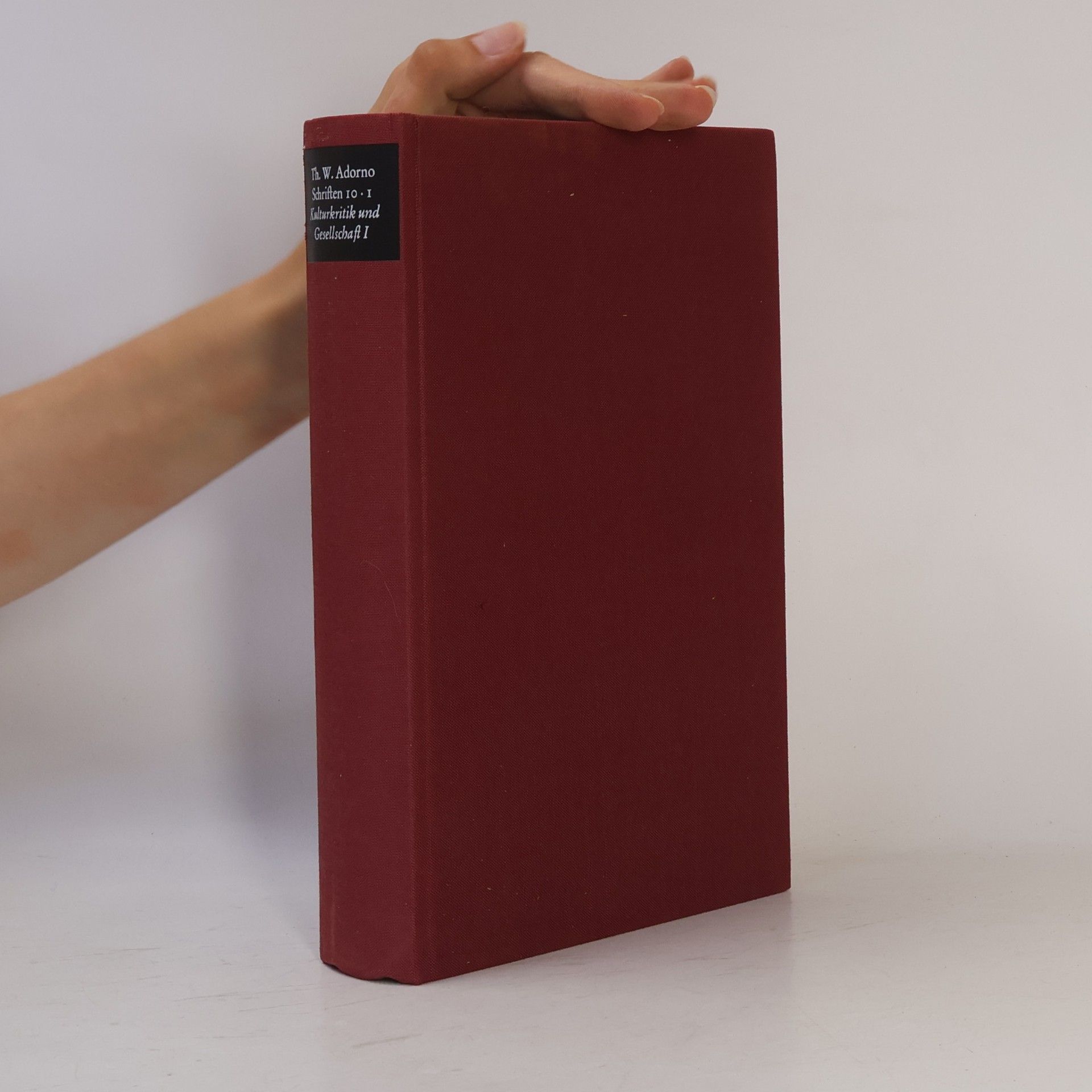 Theodor W. Adorno Schriften 10. Kulturkritik und Gesellschaft I