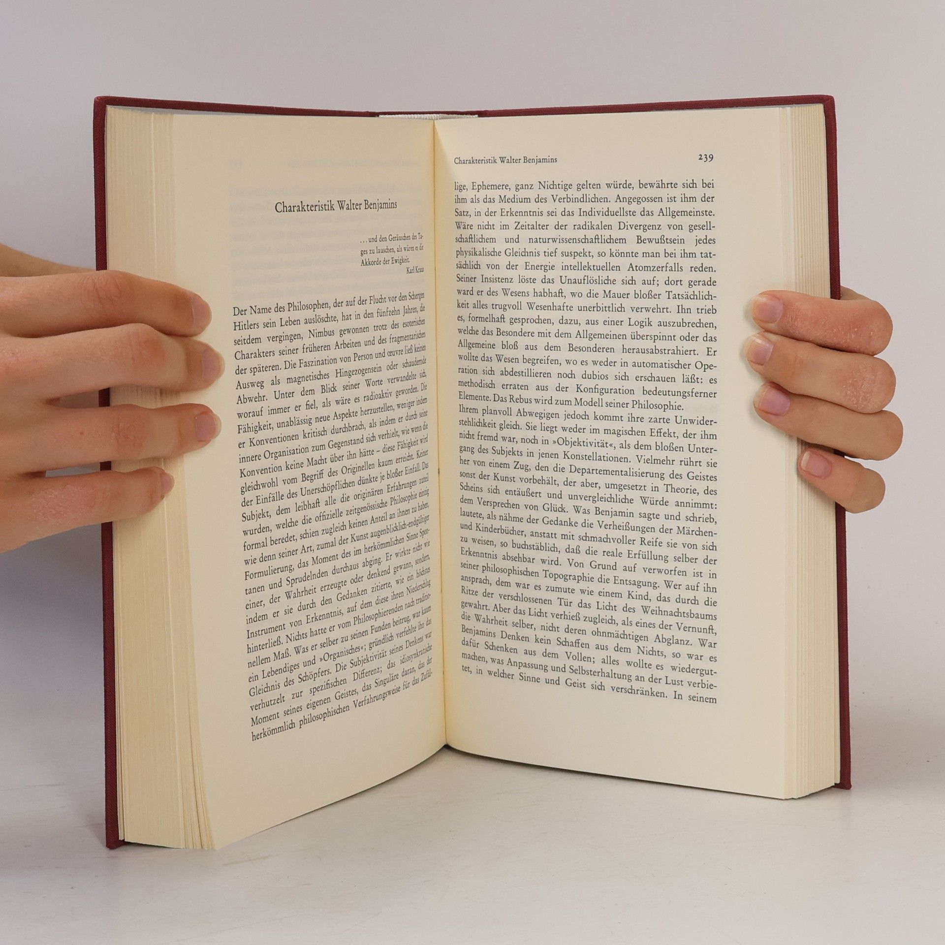 Theodor W. Adorno Schriften 10. Kulturkritik und Gesellschaft I