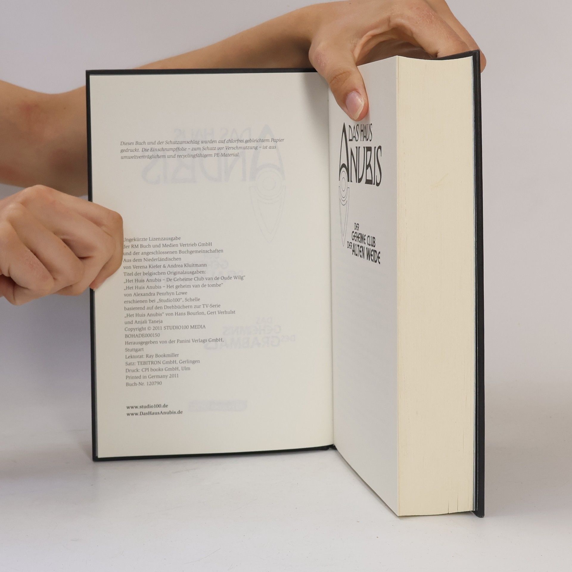 Autorenkollektiv Der Geheime Club der alten Weide das Geheimnis des Grabmals