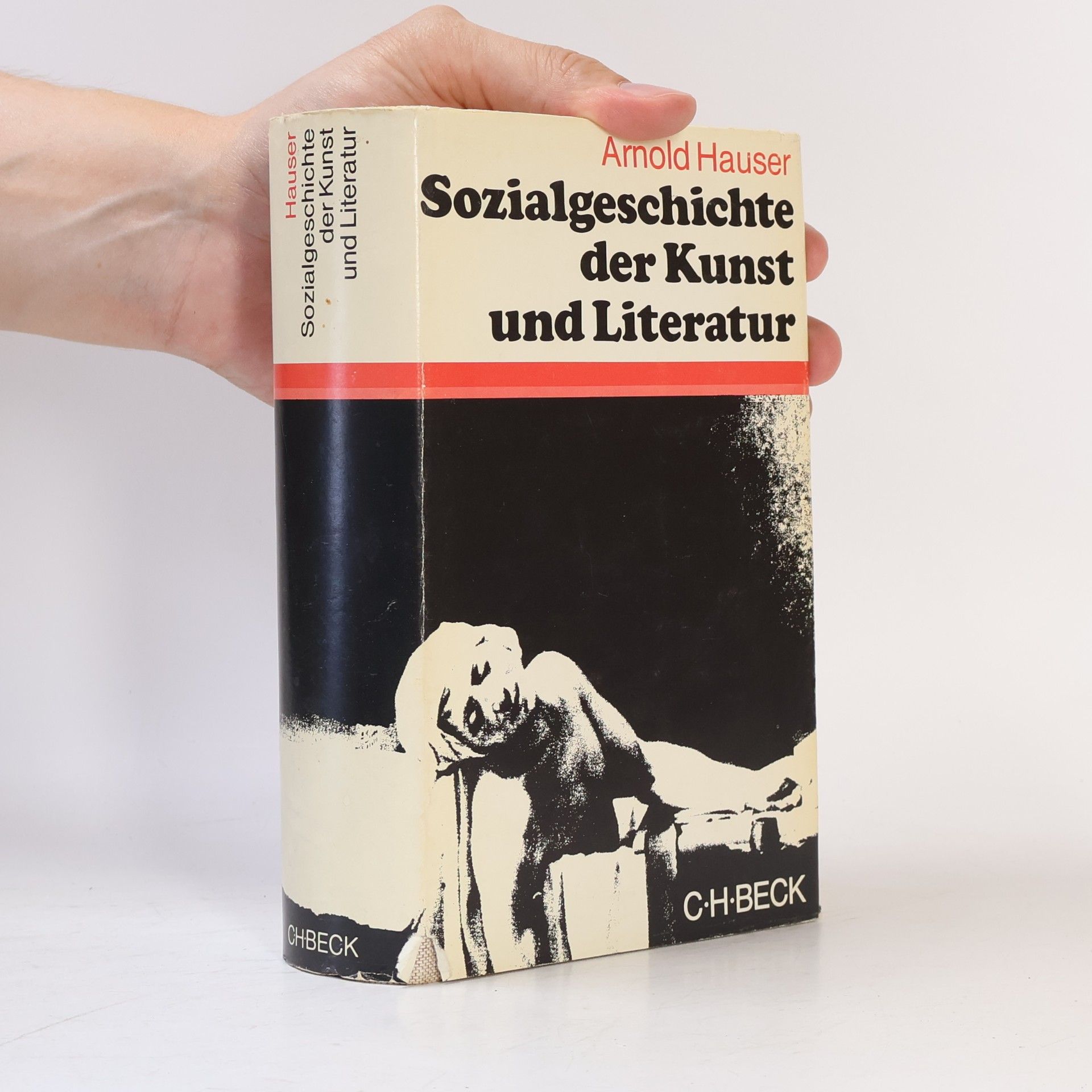 Arnold Hauser Sozialgeschichte der Kunst und Literatur