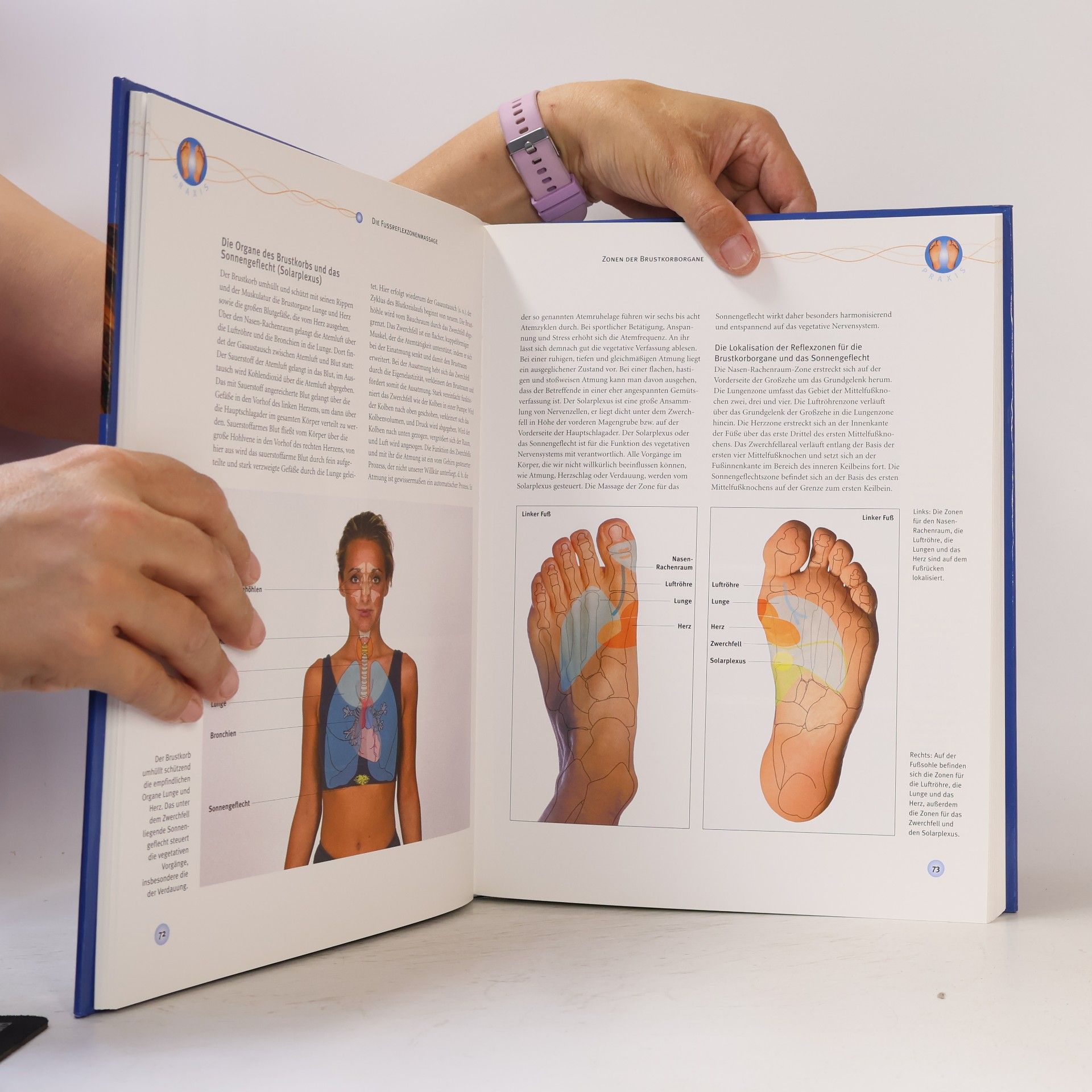 Bernard C. Bernard Carl Kolster Handbuch Reflexzonen-Therapie