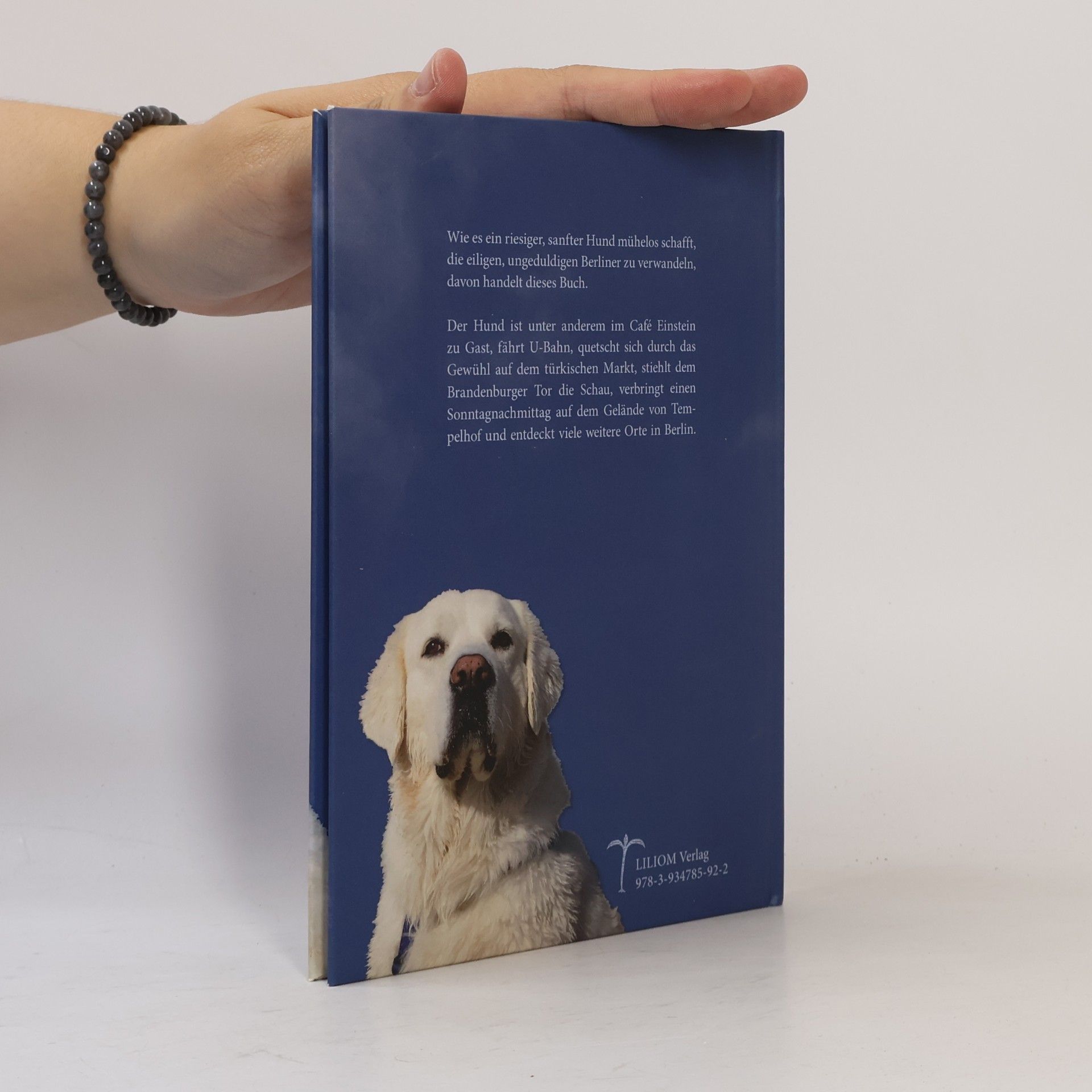 Helga Castellanos Ein Hund besucht Berlin