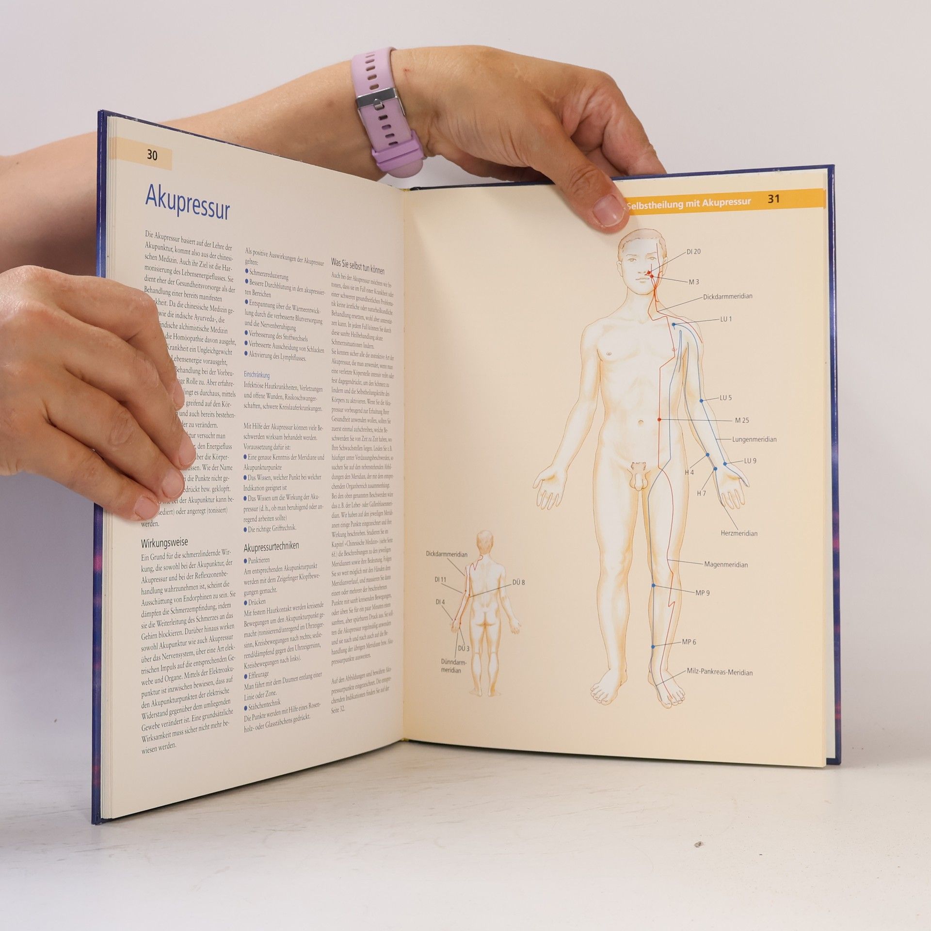 Anna Elisabeth Röcker Atlas des ganzheitlichen Heilens
