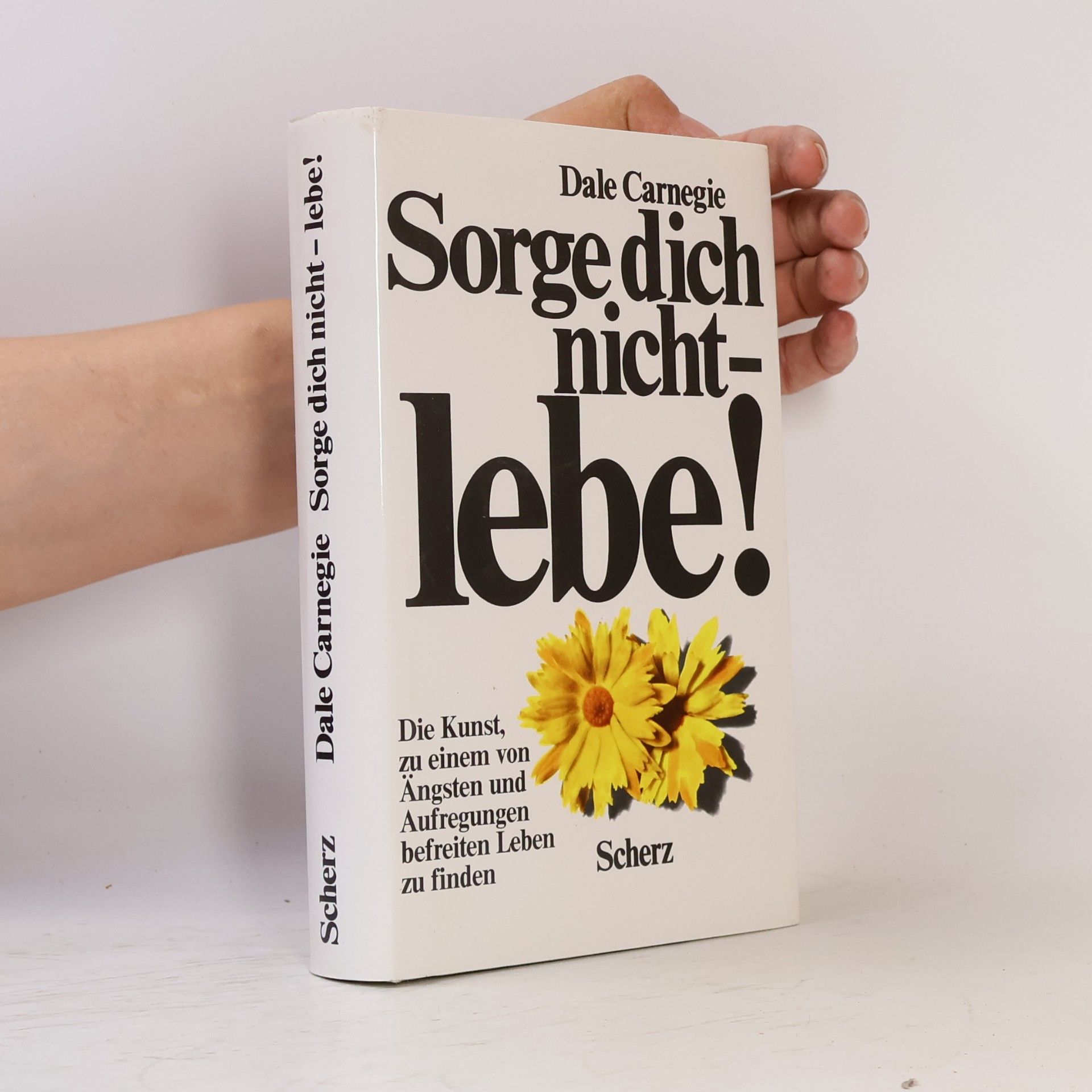 Dale Carnegie Sorge dich nicht - lebe!