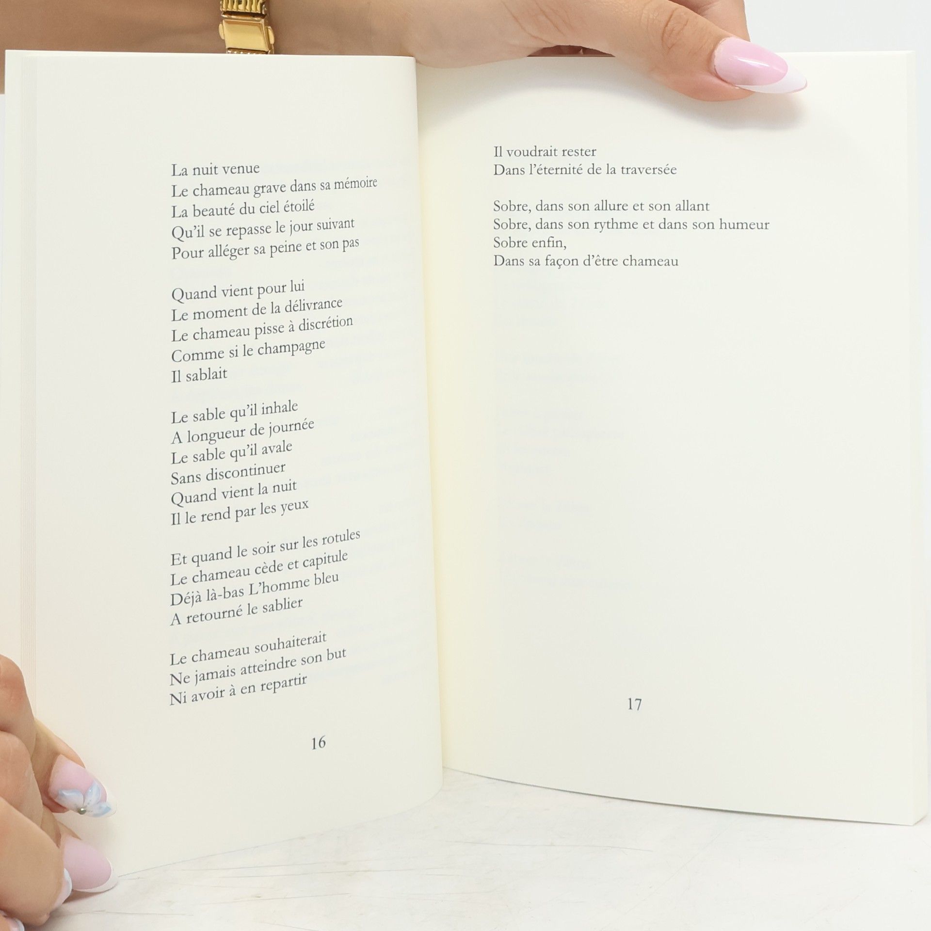 Thierry Lumineau Bestiaire intime