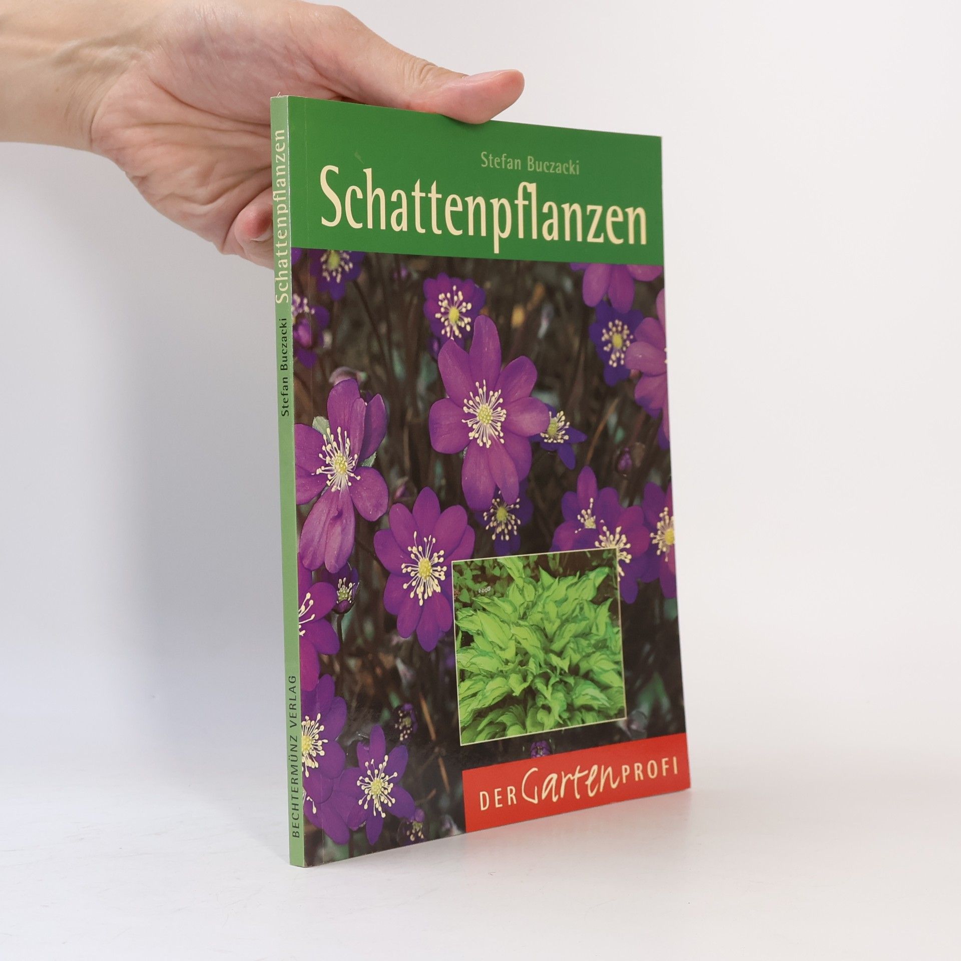Schattenpflanzen