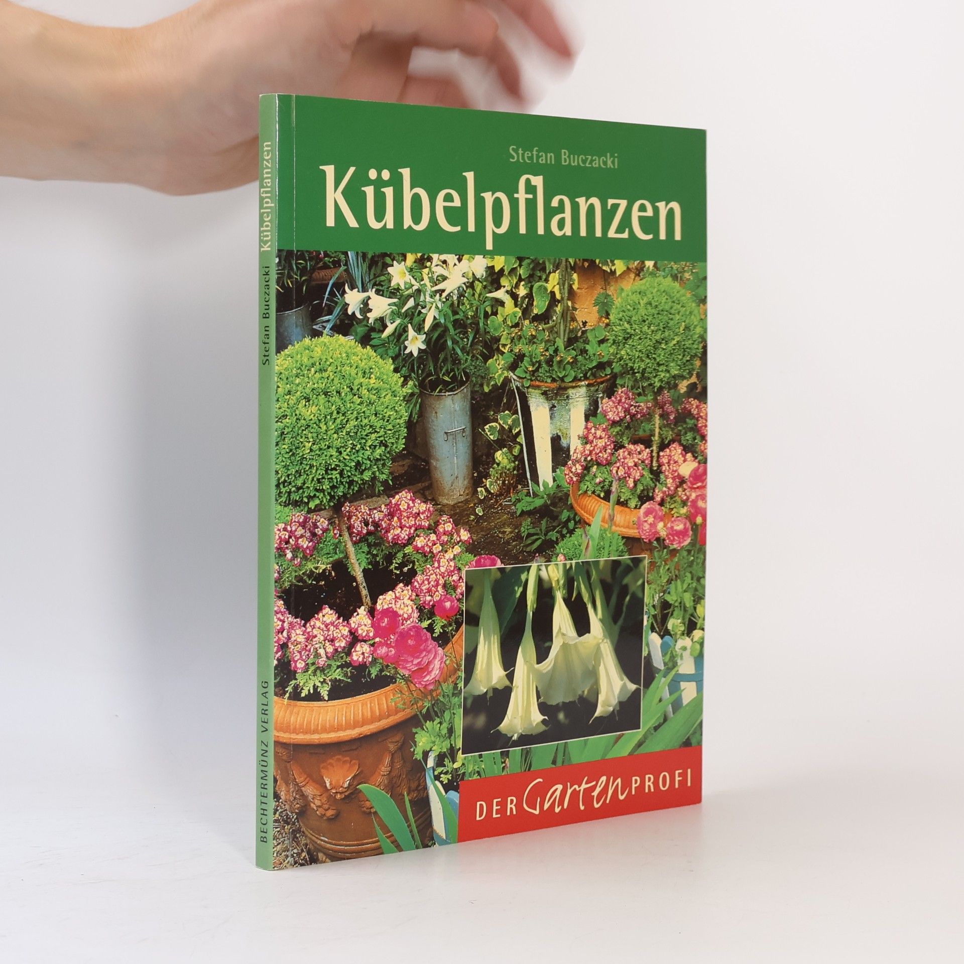 Collectif d'auteurs Kübelpflanzen