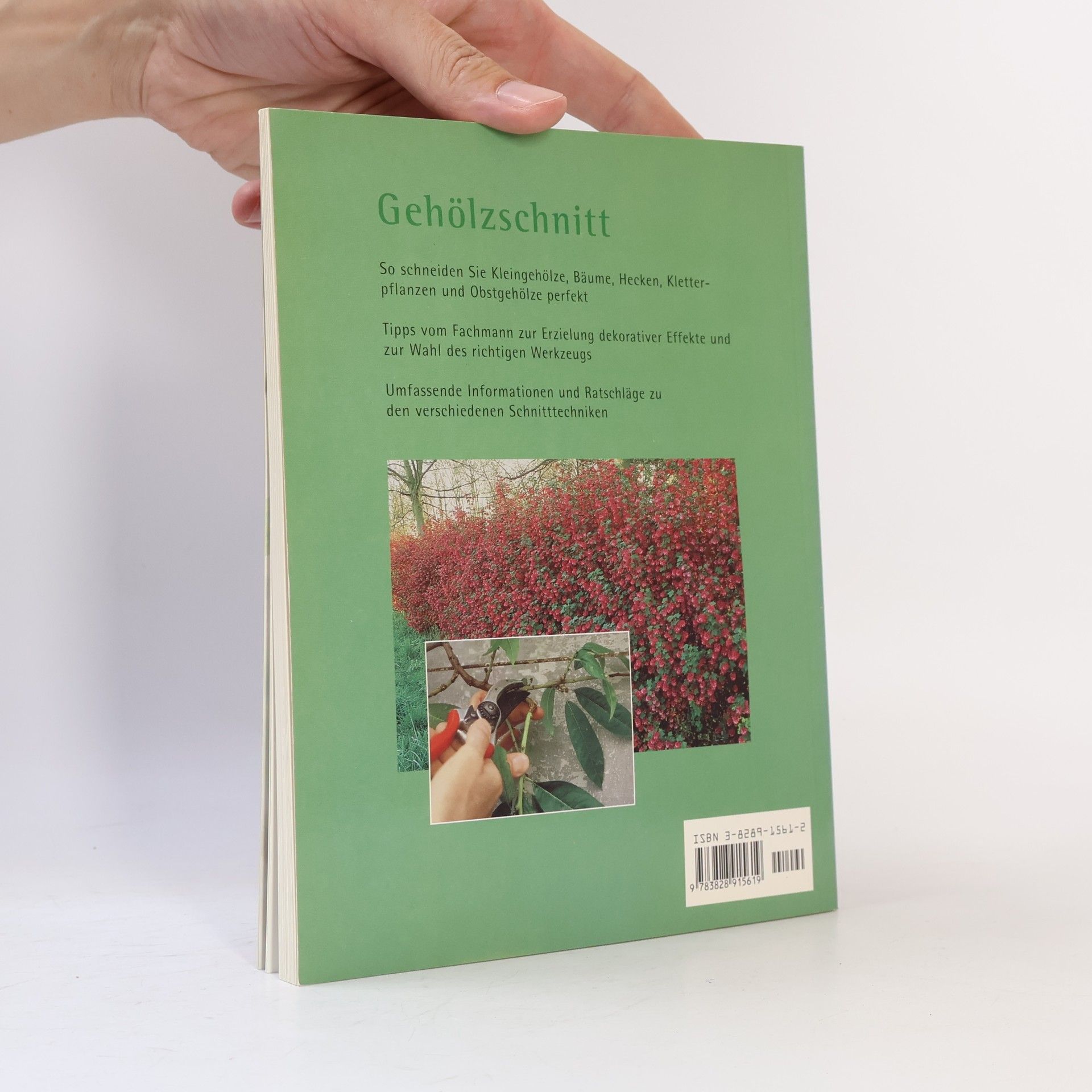 Stefan Buczacki Gehölzschnitt