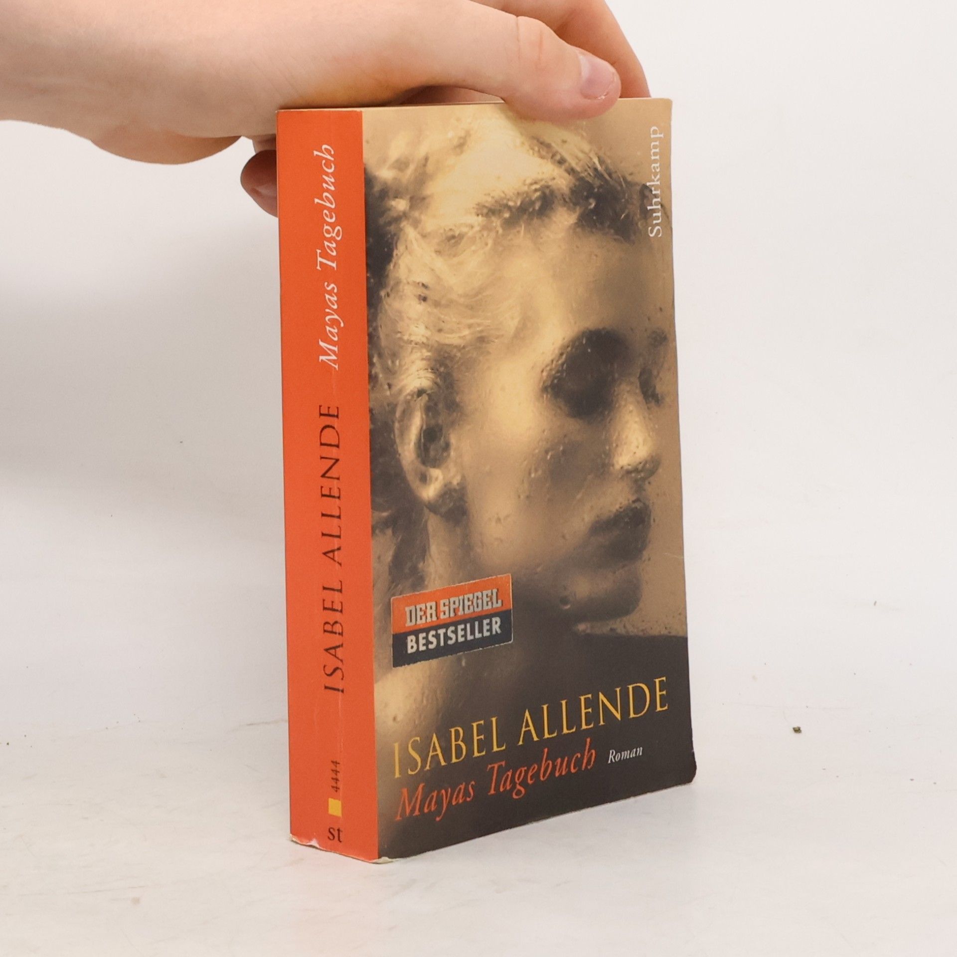 Isabel Allende Mayas Tagebuch