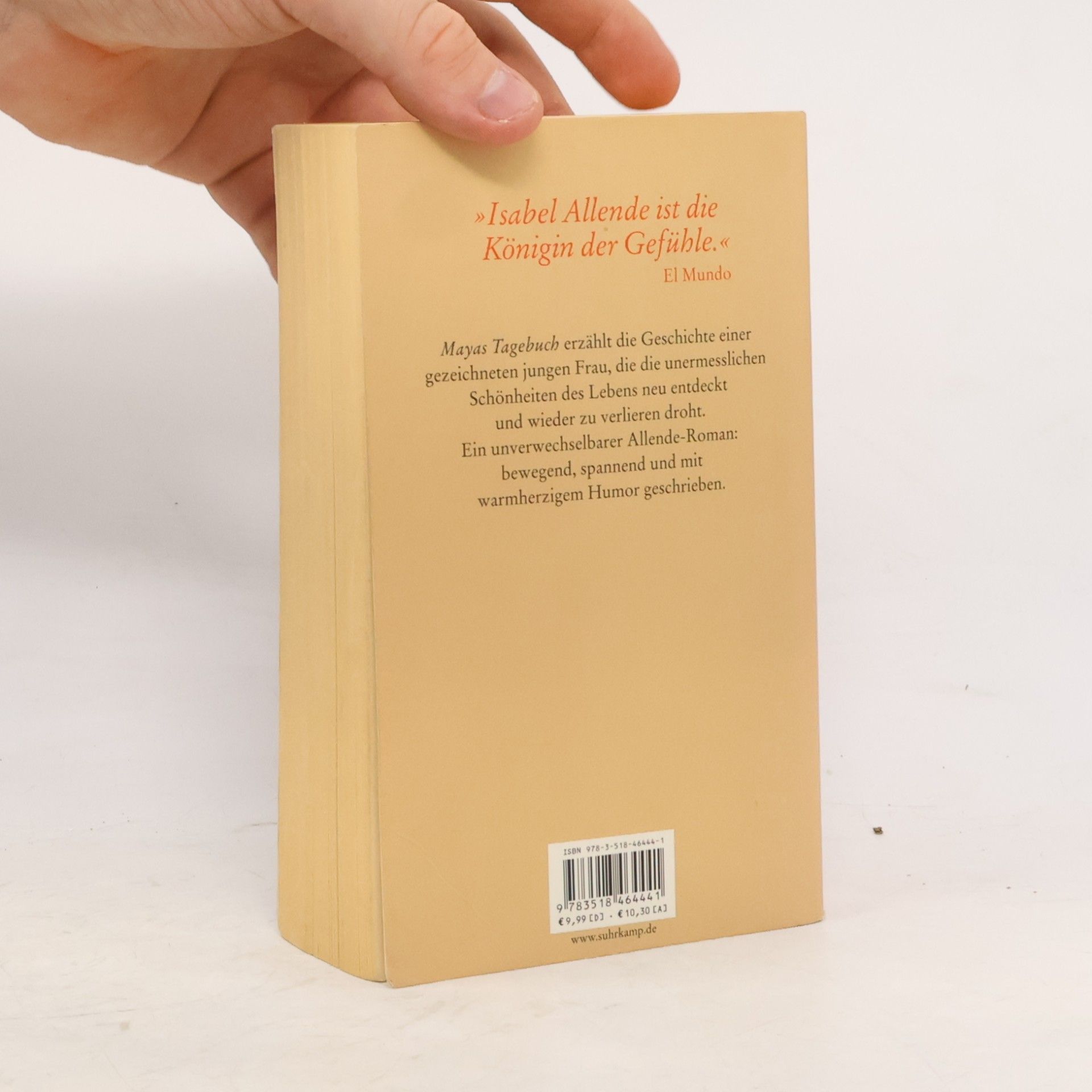 Isabel Allende Mayas Tagebuch