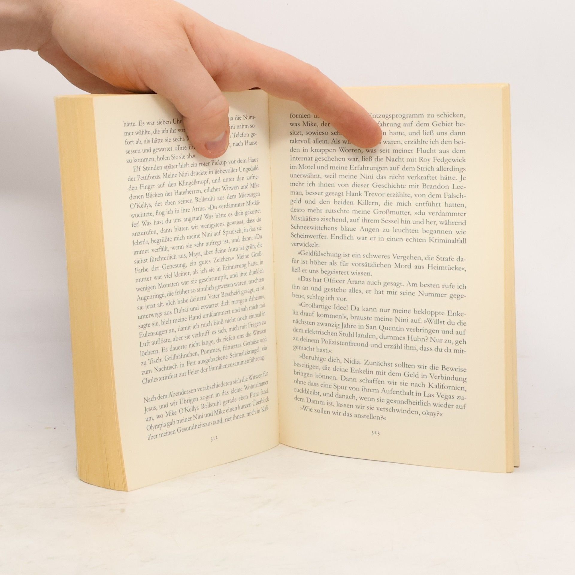 Isabel Allende Mayas Tagebuch