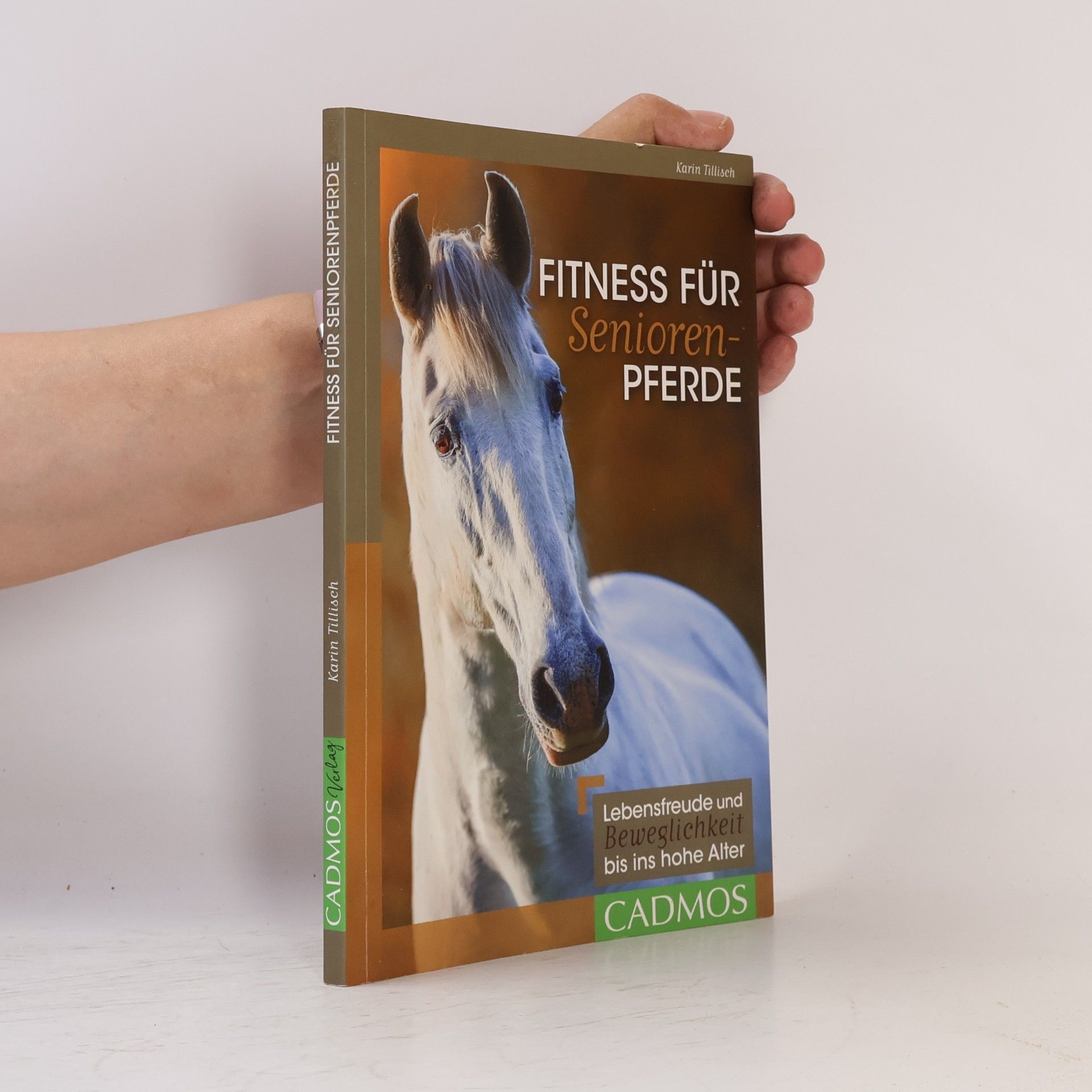 Karin Tillisch Fitness für Senioren-Pferde