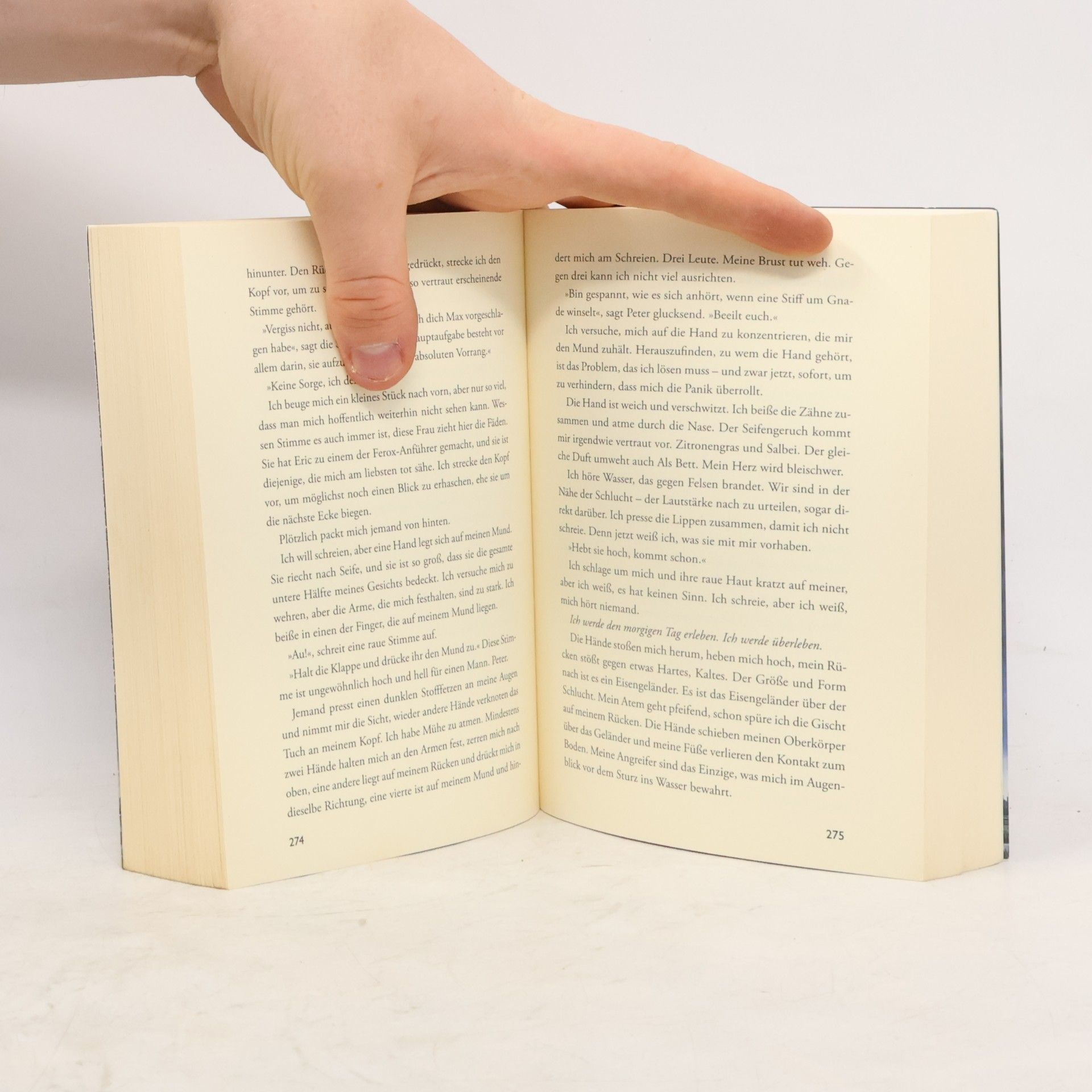 Veronica Roth Die Bestimmung