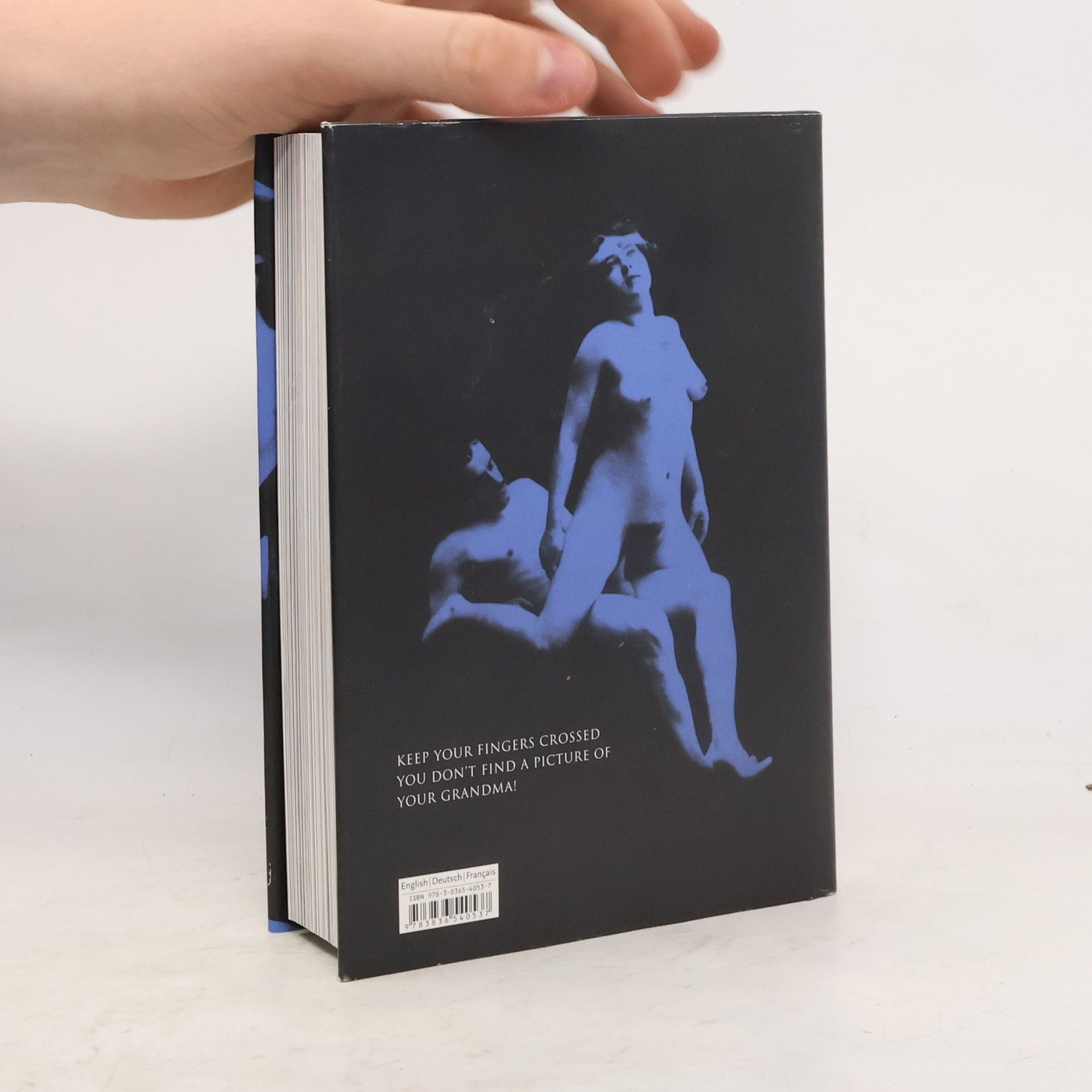 Mark Rotenberg Forbidden erotica