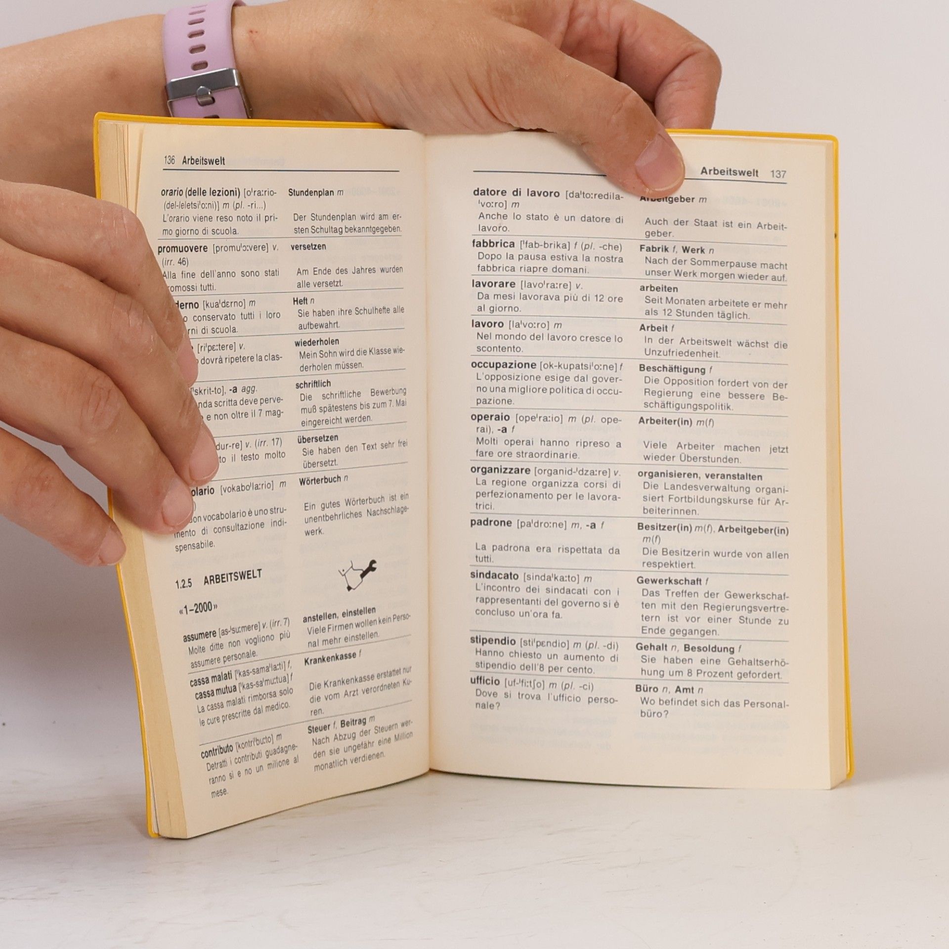 Collectif d'auteurs Langenscheidts Grundwortschatz Italienisch